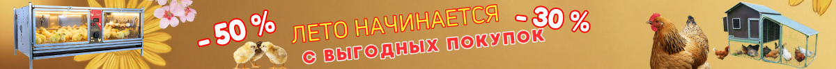 Лето начинается с выгодных покупок Лето начинается с выгодных покупок