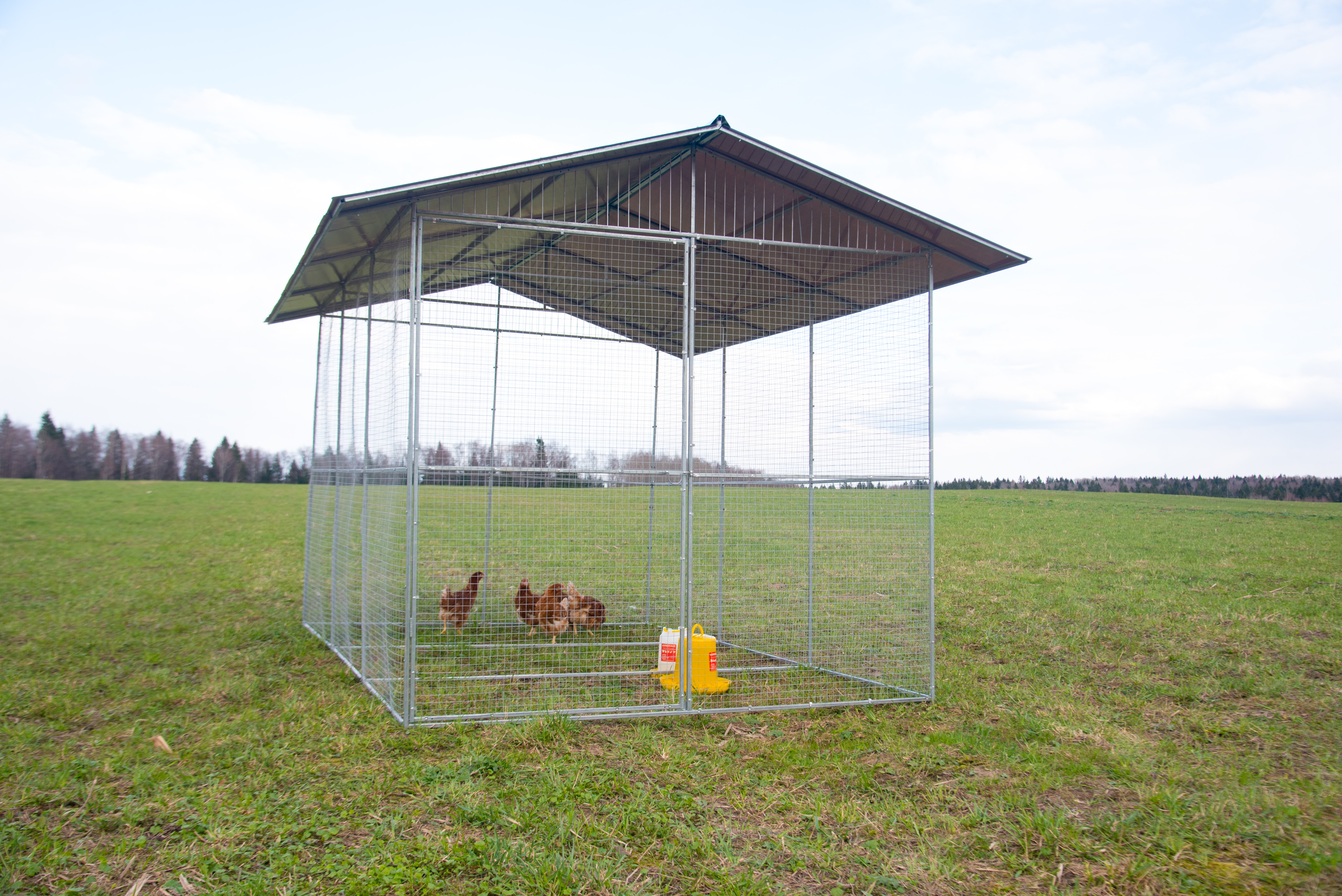 Выгул "Разгуляй" с крышей 2-2-К. Фото 1