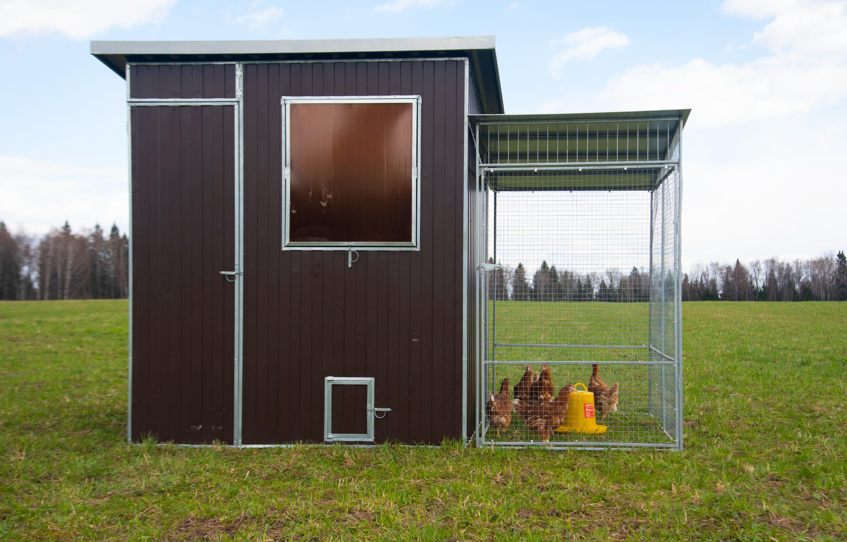 Выгул "Разгуляй" с крышей 1-2-К. Фото 1