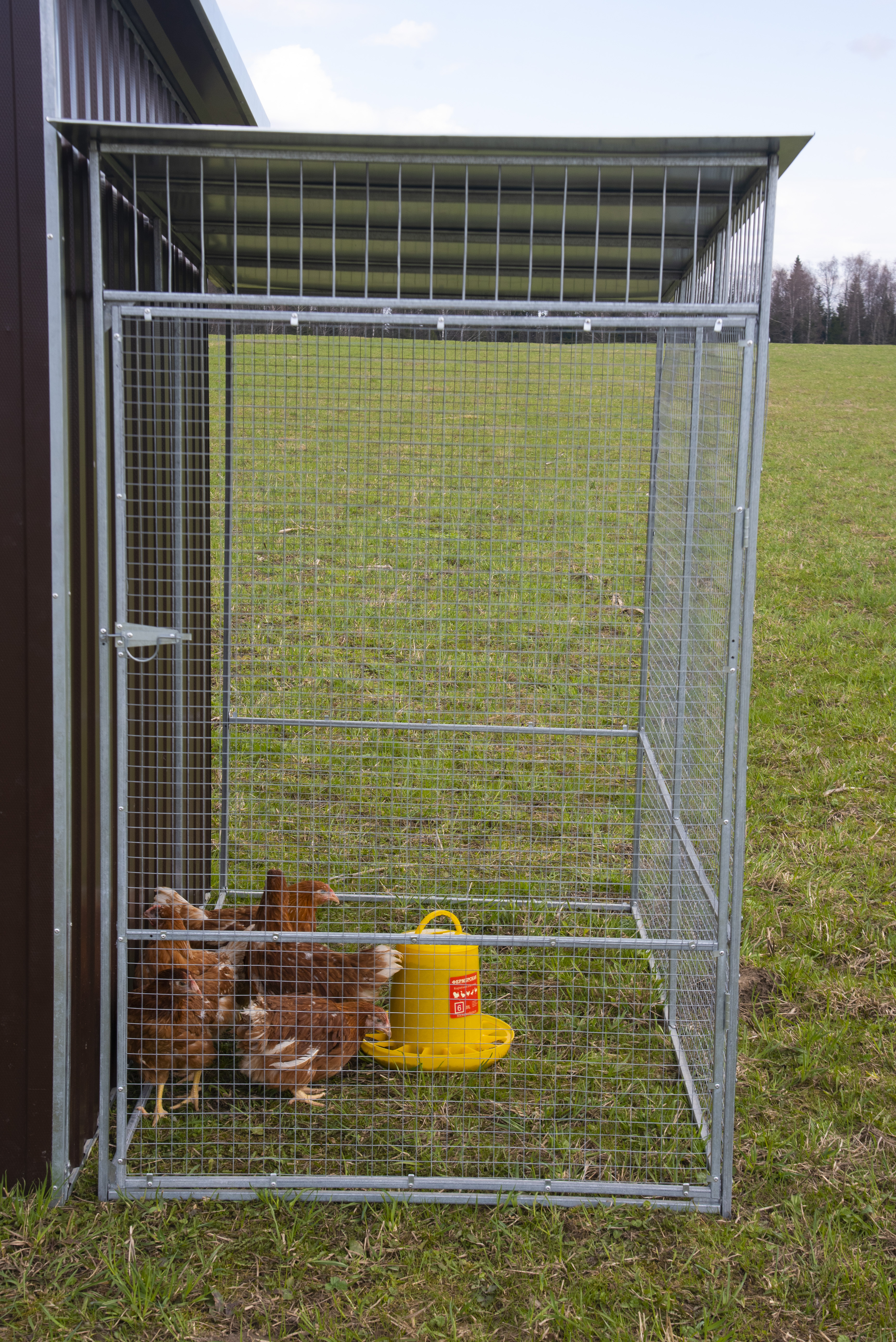 Выгул "Разгуляй" с крышей 1-1-К. Фото 6