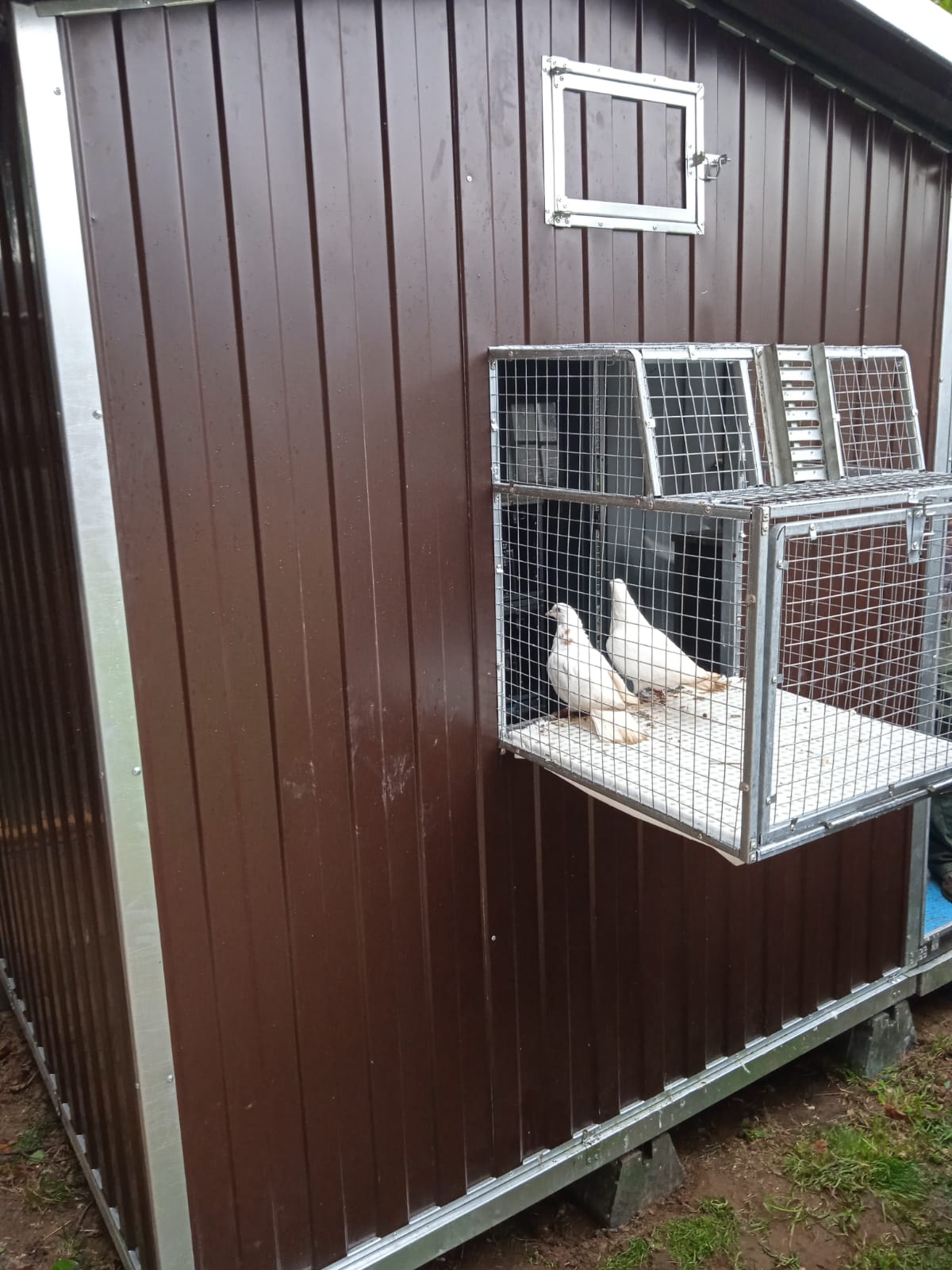 Голубятня "Любовь". Фото 26