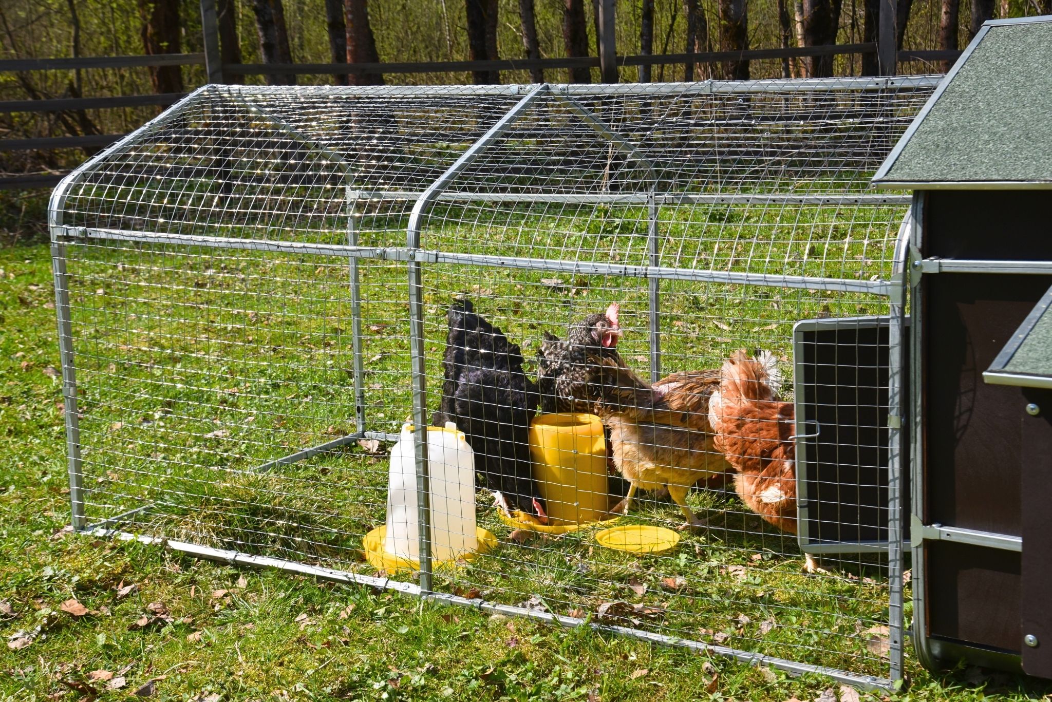 Курятник "Фаворит" на 8-10 кур. Фото 18