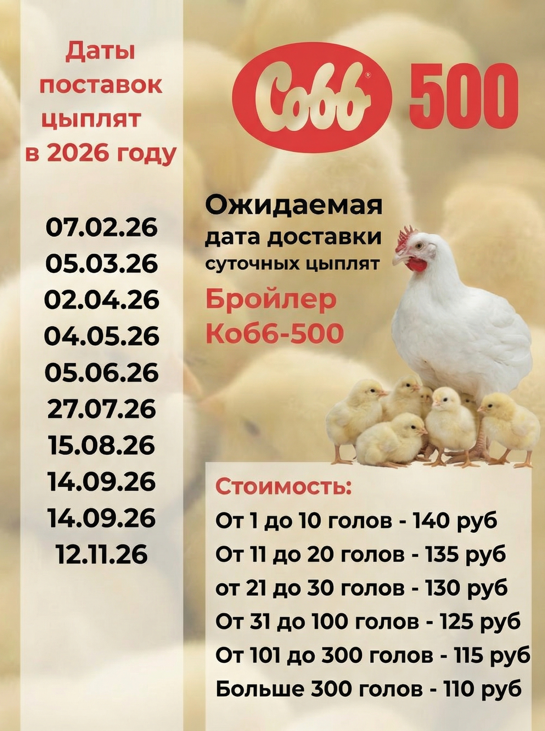 Цыплёнок бройлерный суточный (Россия). Фото 1