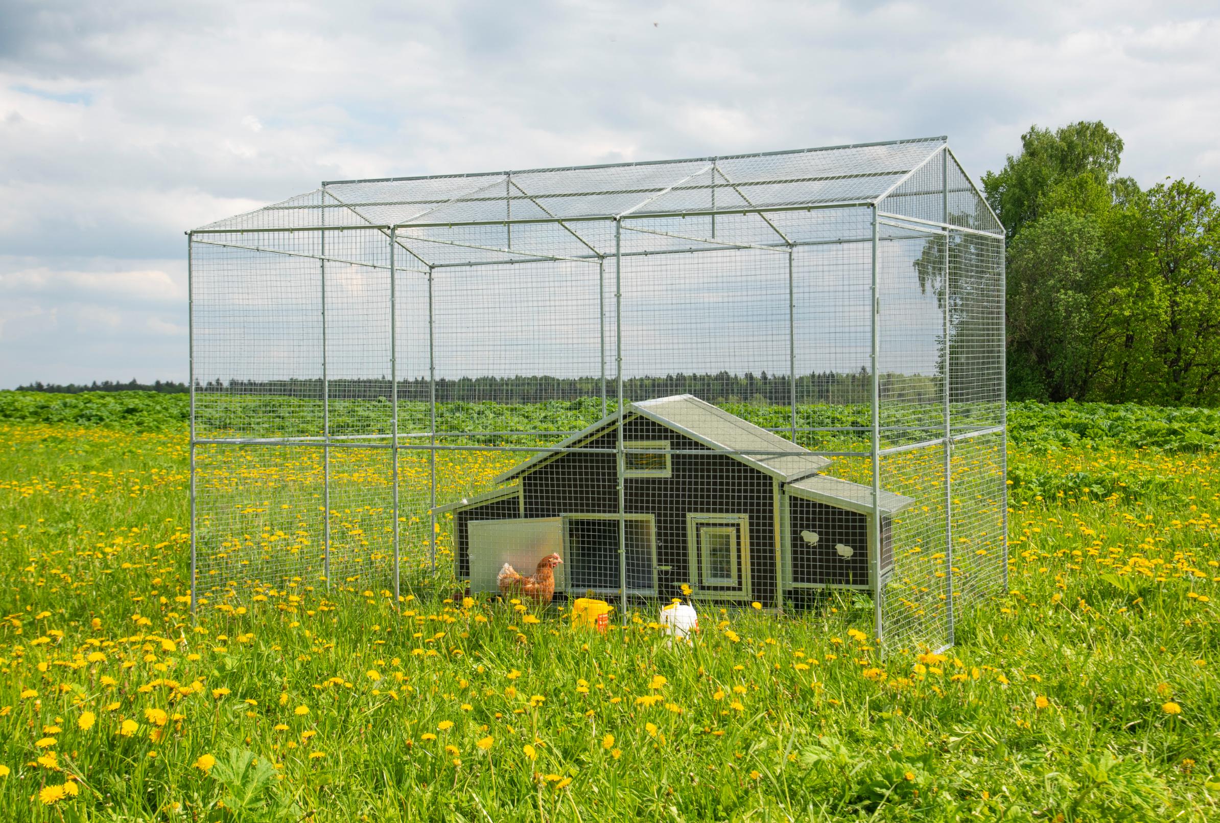 Выгул "Разгуляй" из сетки 2-4-С. Фото 12