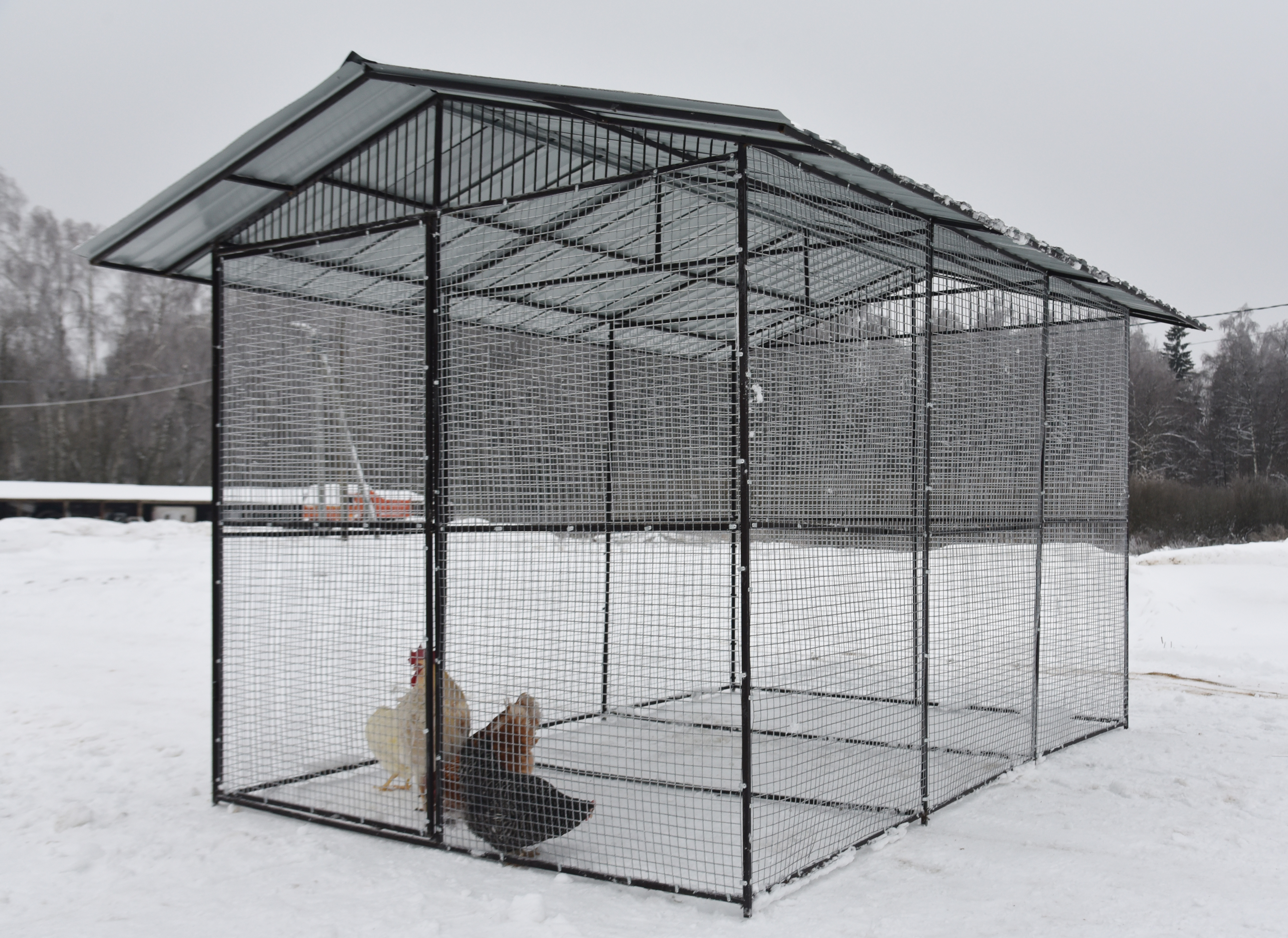 Выгул "Разгуляй" с крышей 2-3-К. Фото 10