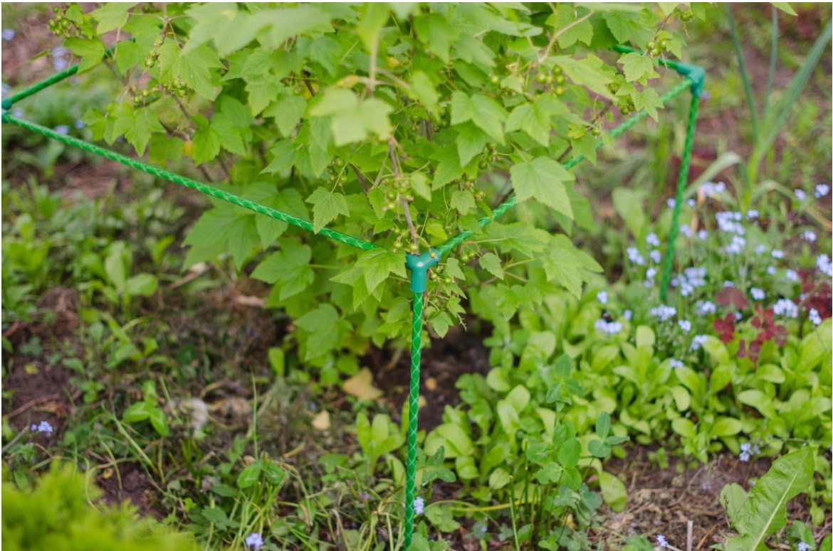 Ограждение для кустарников 0,9 м. Фото 1