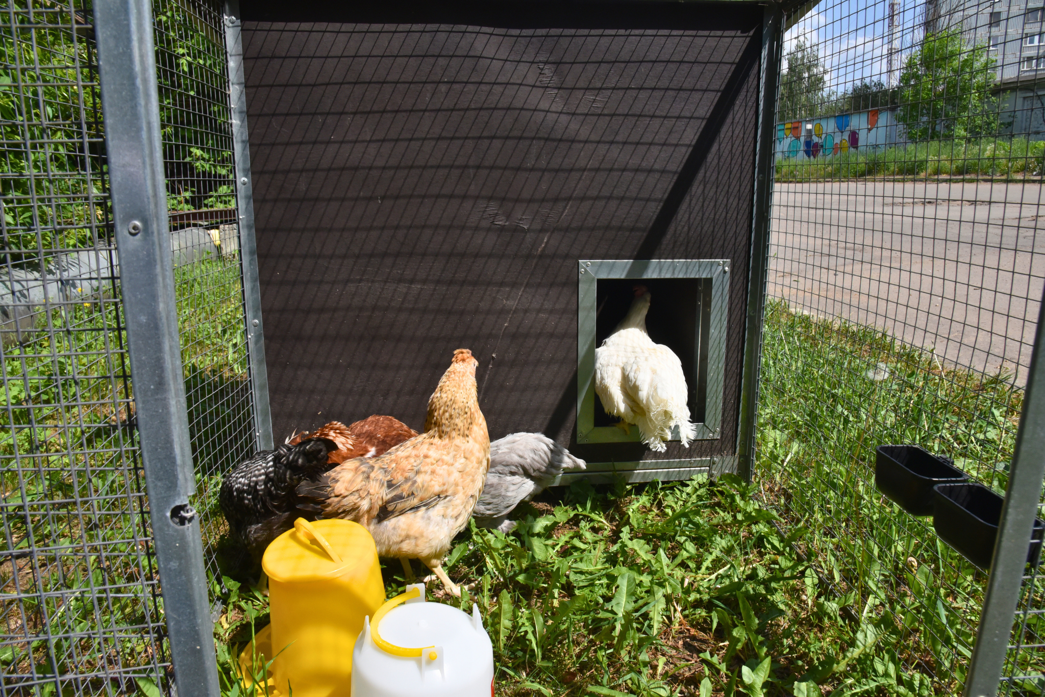 Утеплённый домик с выгулом "Лужайка-1". Фото 29