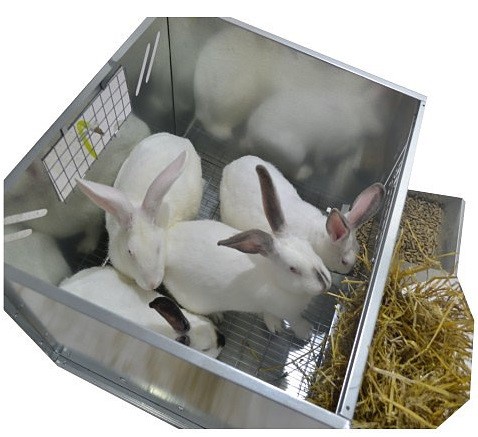 Клетка для откорма кроликов "ПРОФЕССИОНАЛ"-55-КО-2. Фото 8