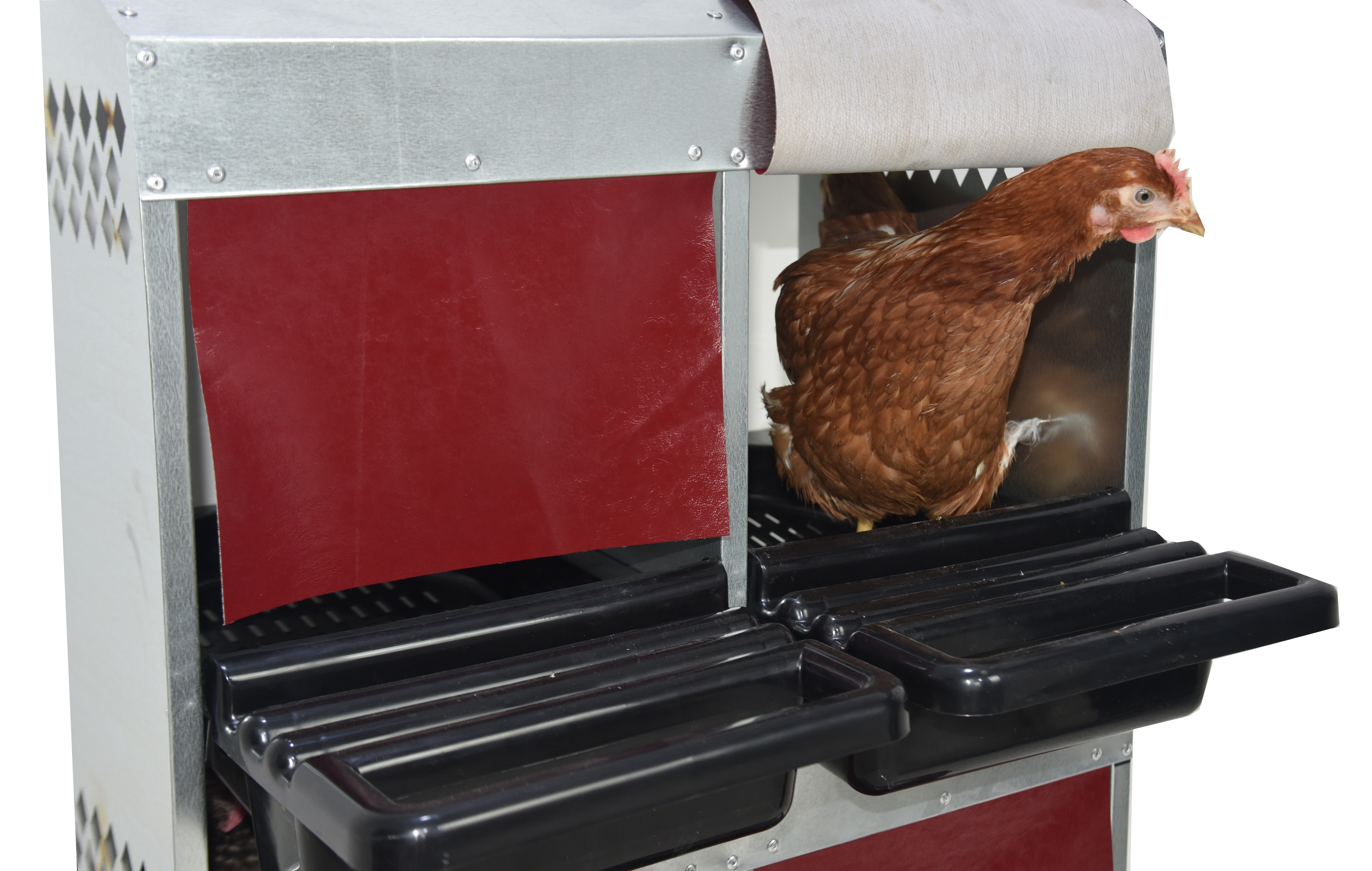 Гнездо для кур-несушек "Компакт" 2-1. Фото 6