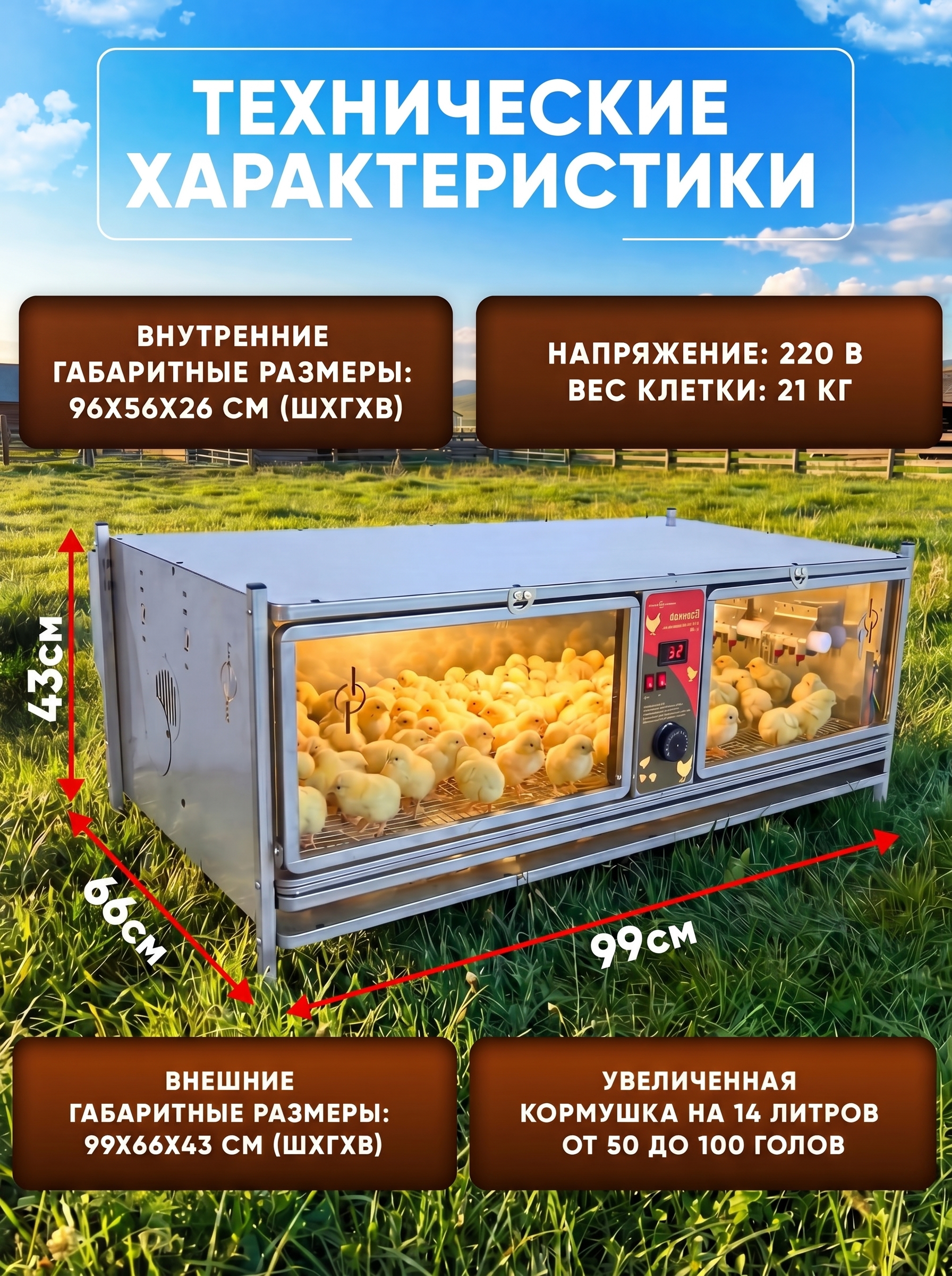 Рамный автоматический брудер 0714 Премиум. Фото 9 Рамный автоматический брудер 0714 Премиум. Фото 9