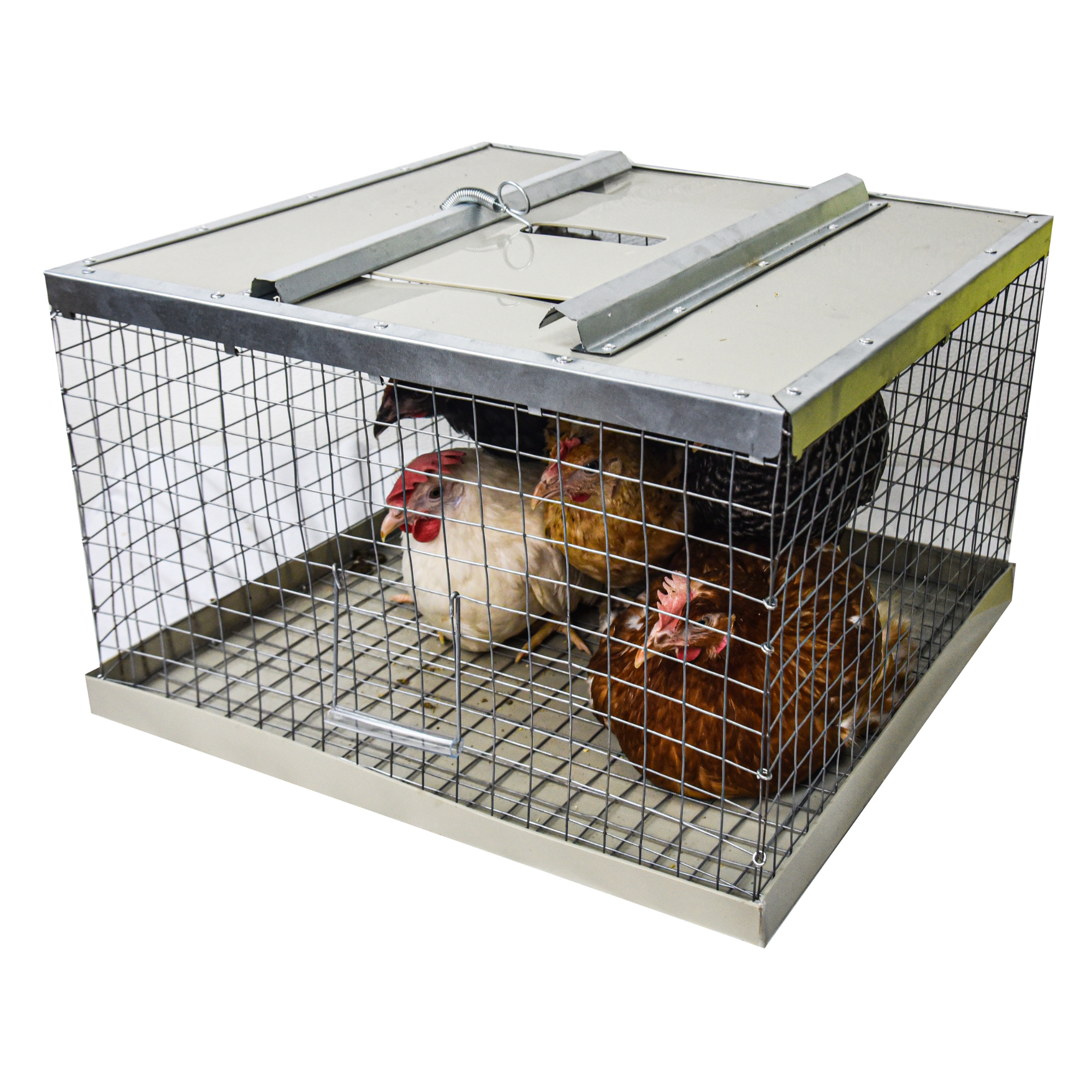 Клетка-переноска для птицы с 1 дверцей. Фото 6