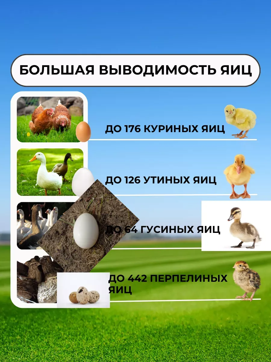 Инкубатор Гарант -176  "Стандарт". Фото 1