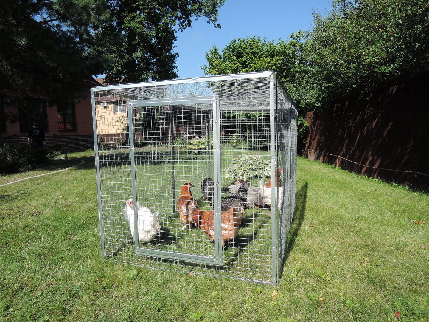 Выгул "Лужайка"-4. Фото 5