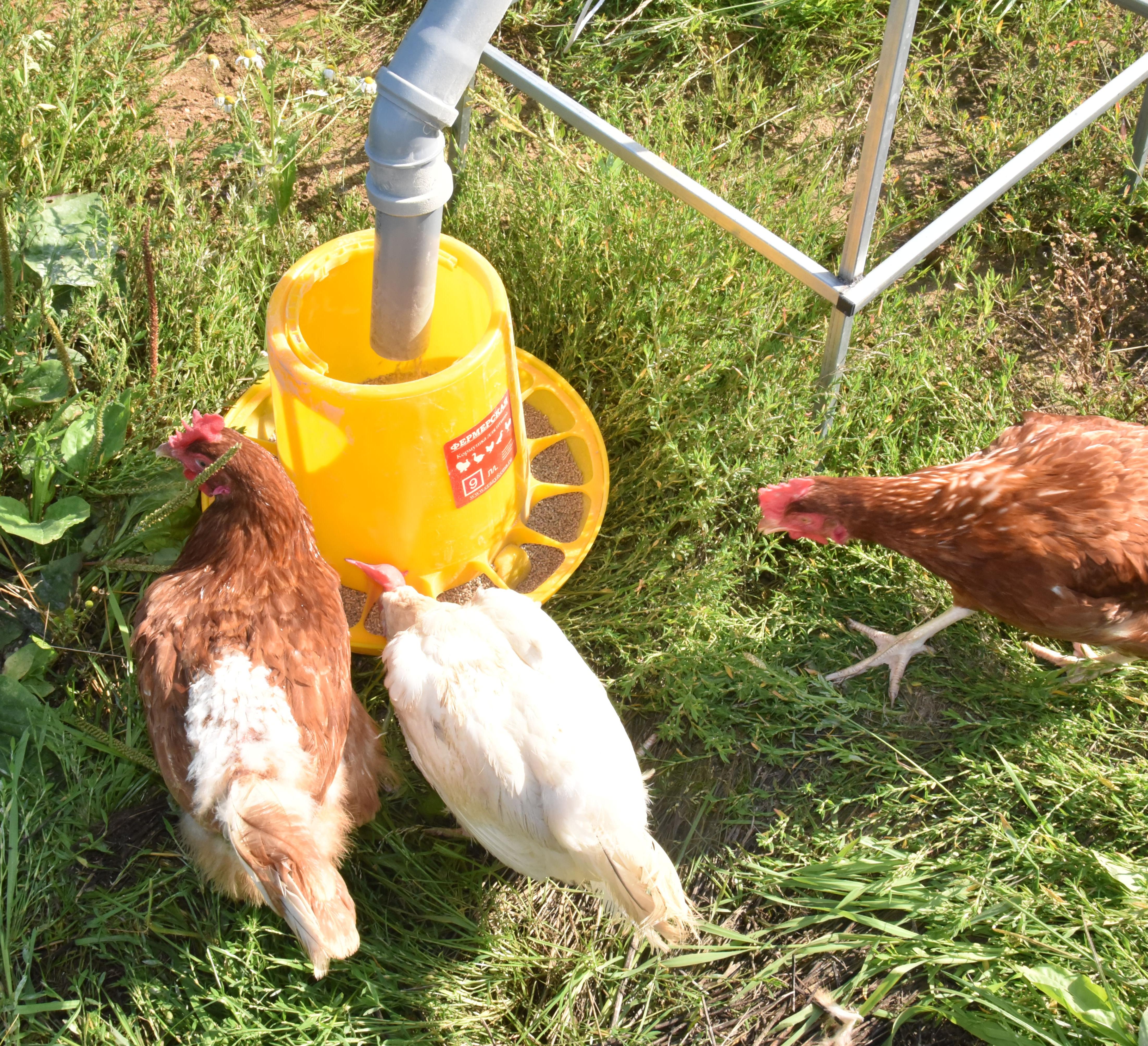 Бункер кормовой автоматический "Дозатор 90". Фото 7