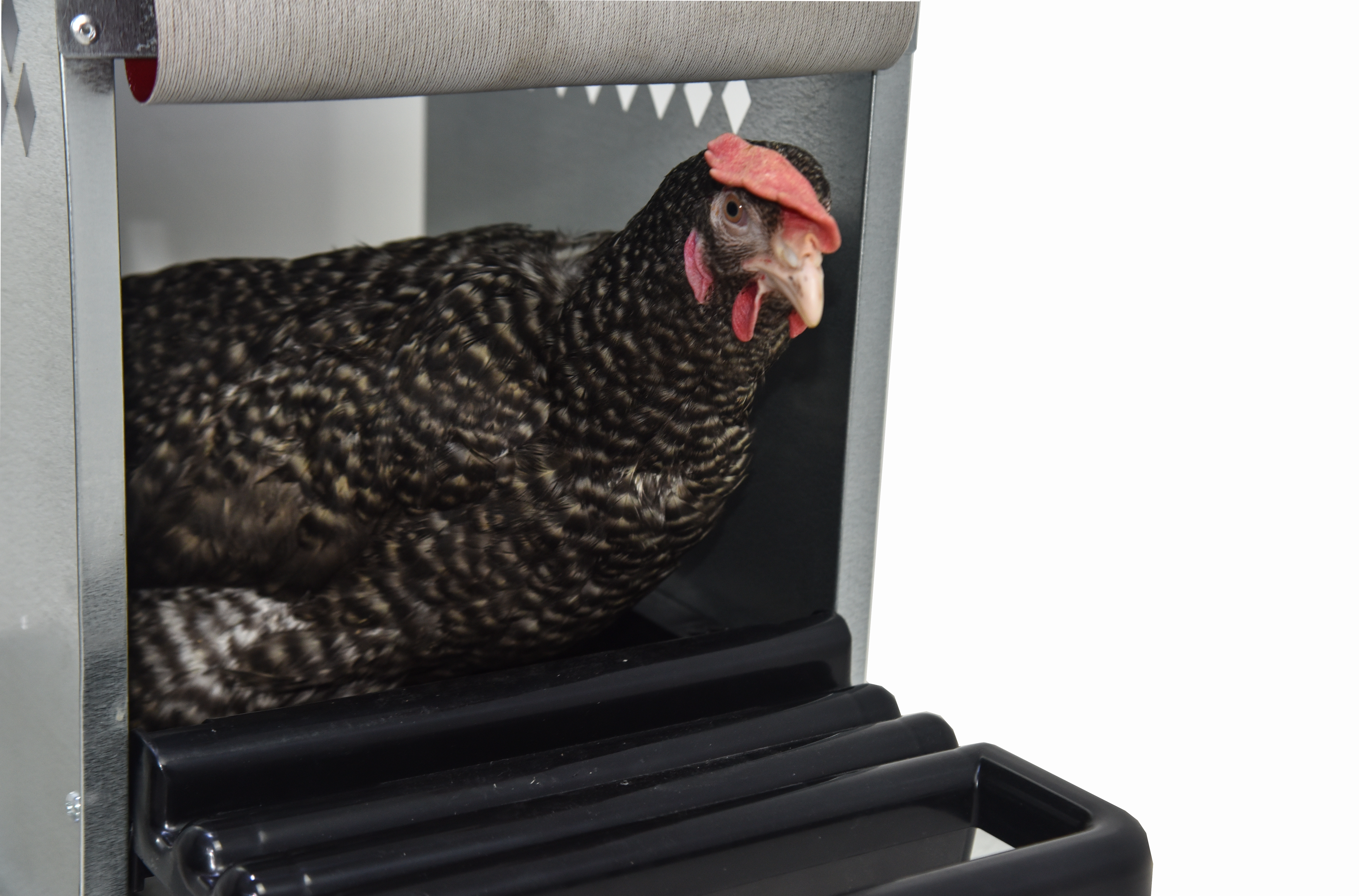 Гнездо для кур-несушек "Компакт" 5-1. Фото 4