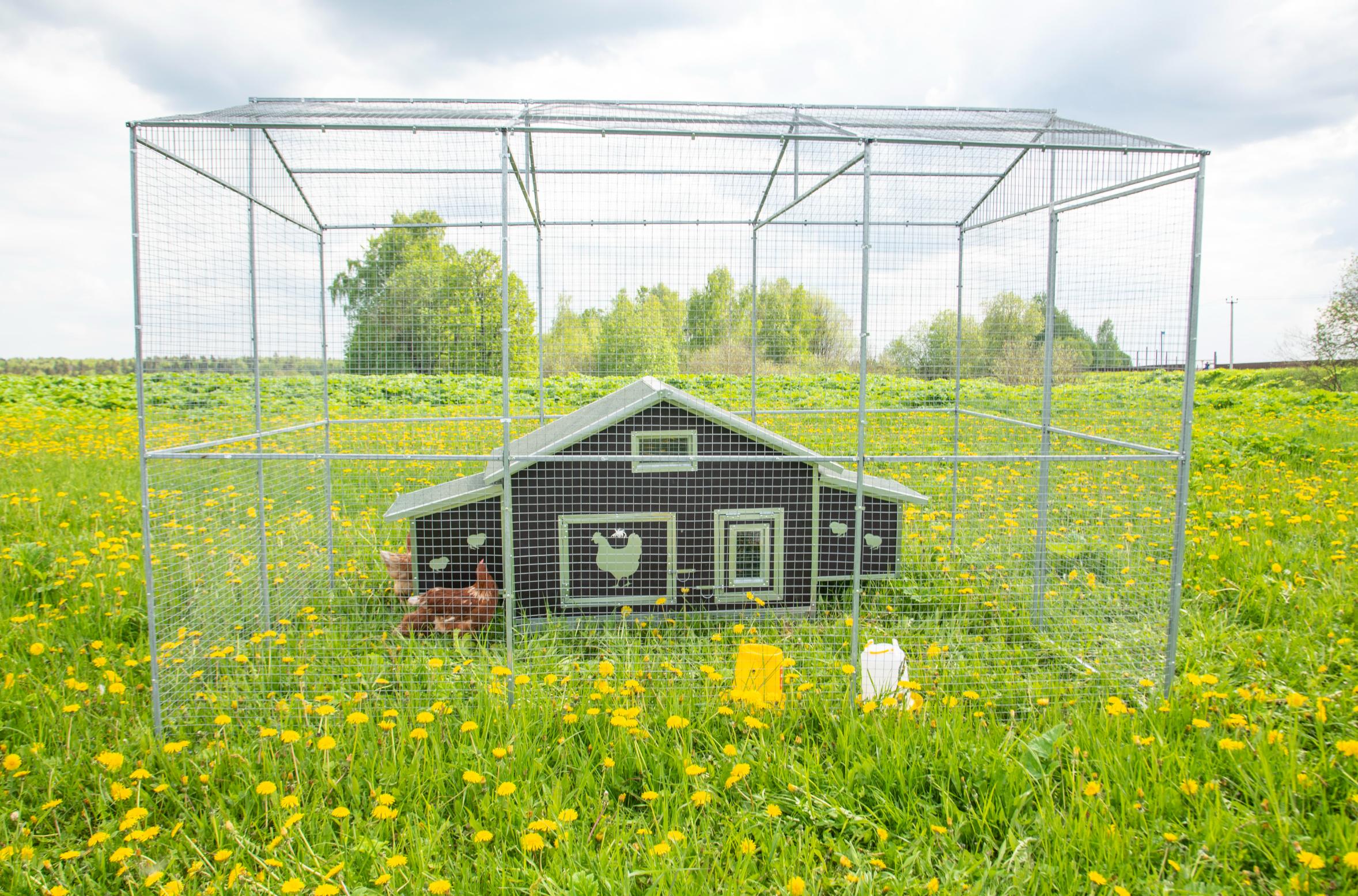Выгул "Разгуляй"  из сетки 2-2-С. Фото 12