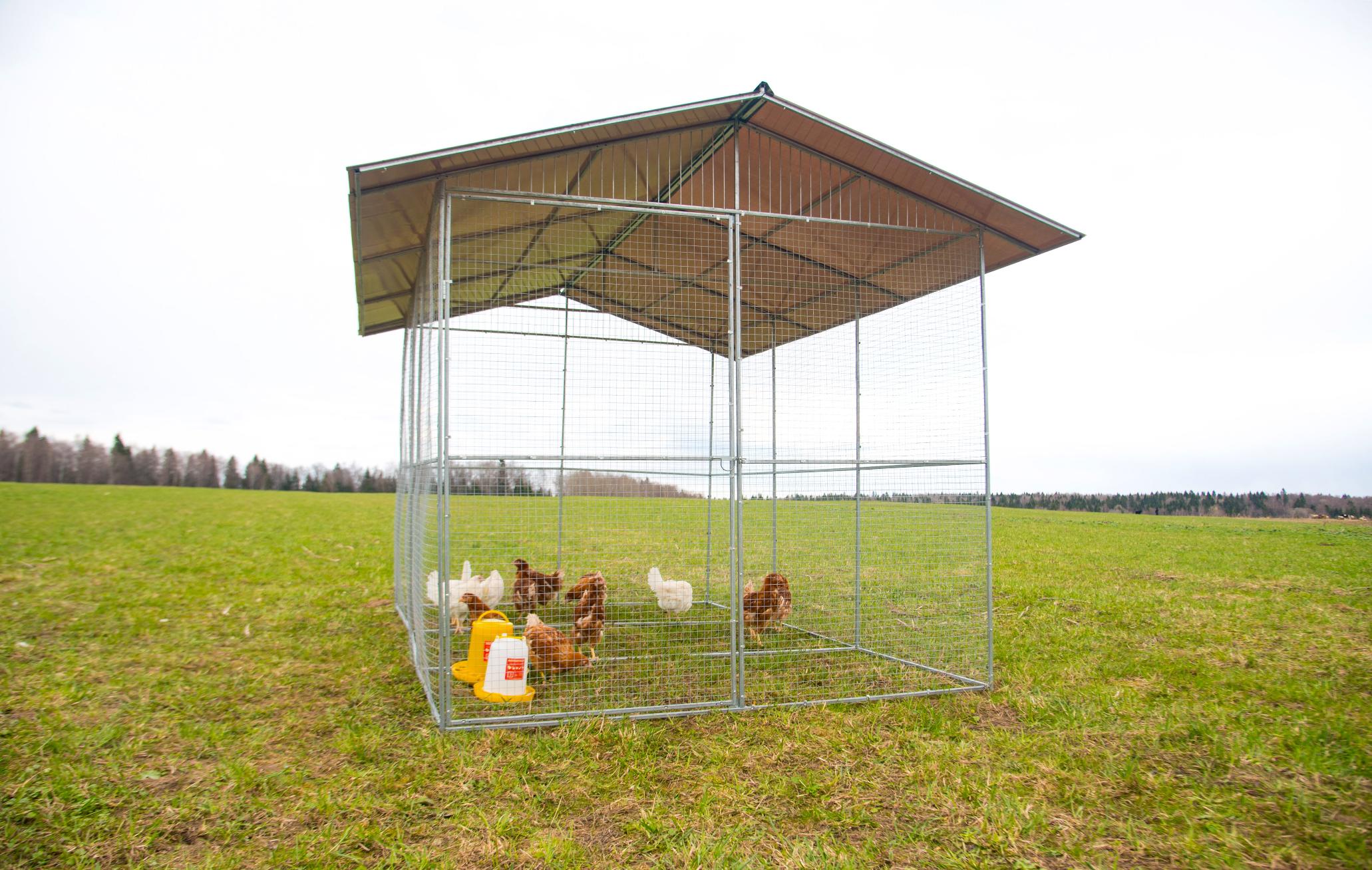 Выгул "Разгуляй" с крышей 2-6-К. Фото 2