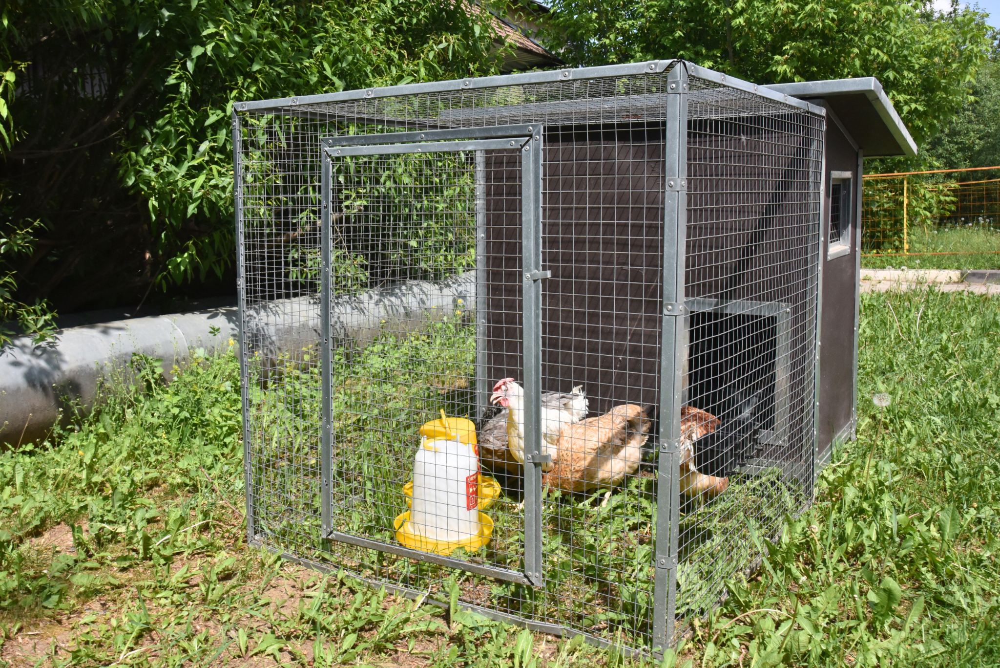 Утеплённый домик с выгулом "Лужайка-1". Фото 24