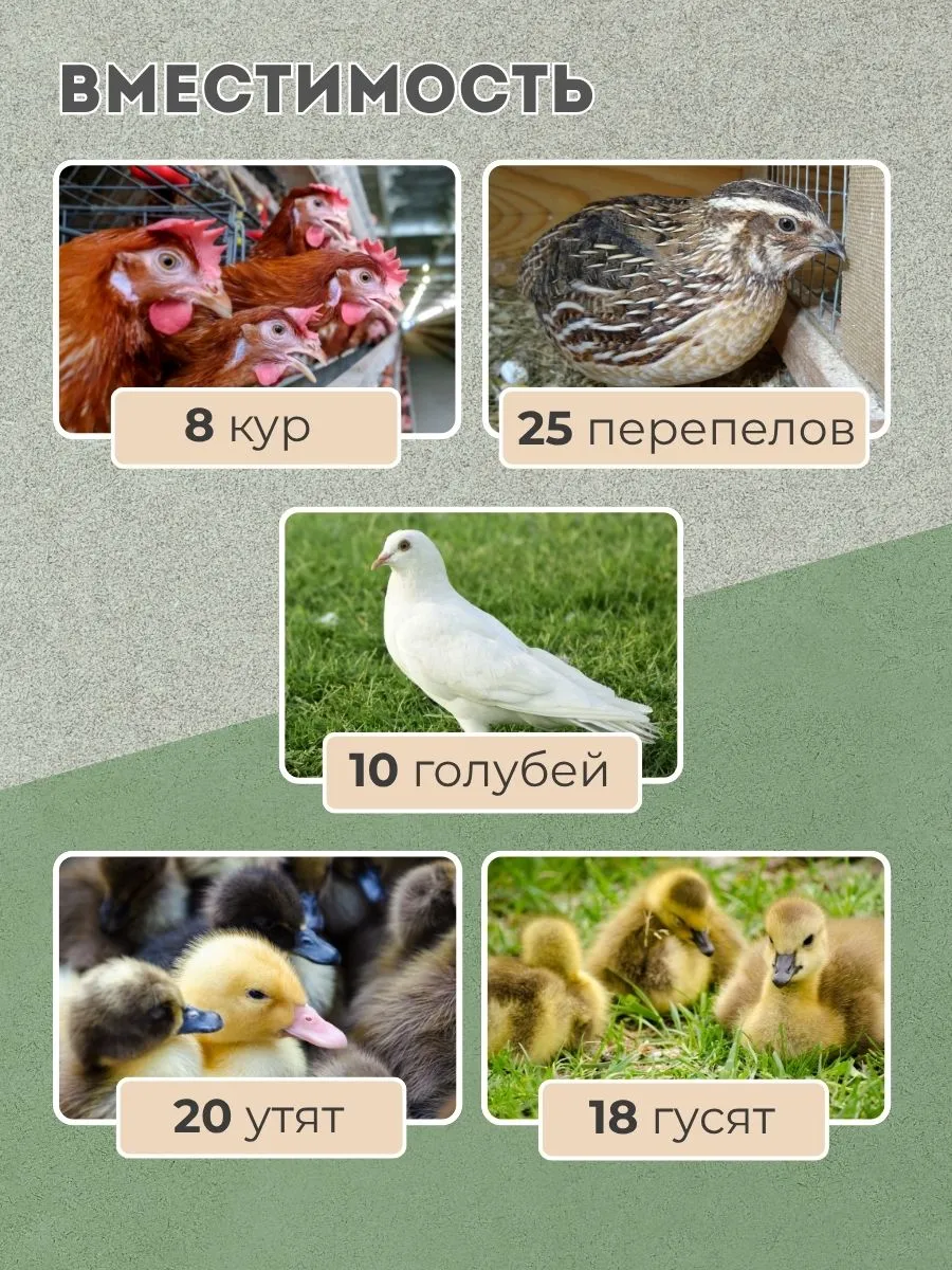 Клетка-переноска для птицы с 2 дверцами. Фото 3