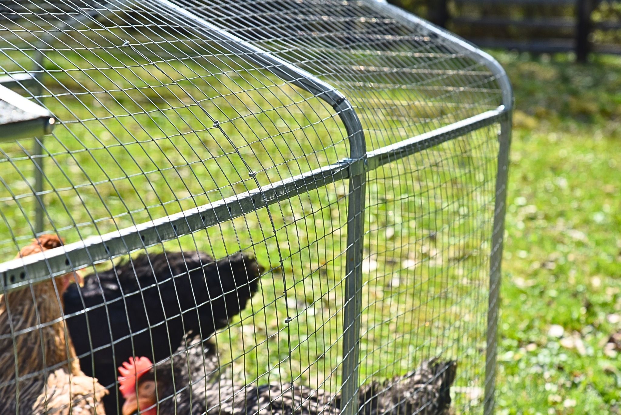 Курятник "Фаворит" на 8-10 кур. Фото 19