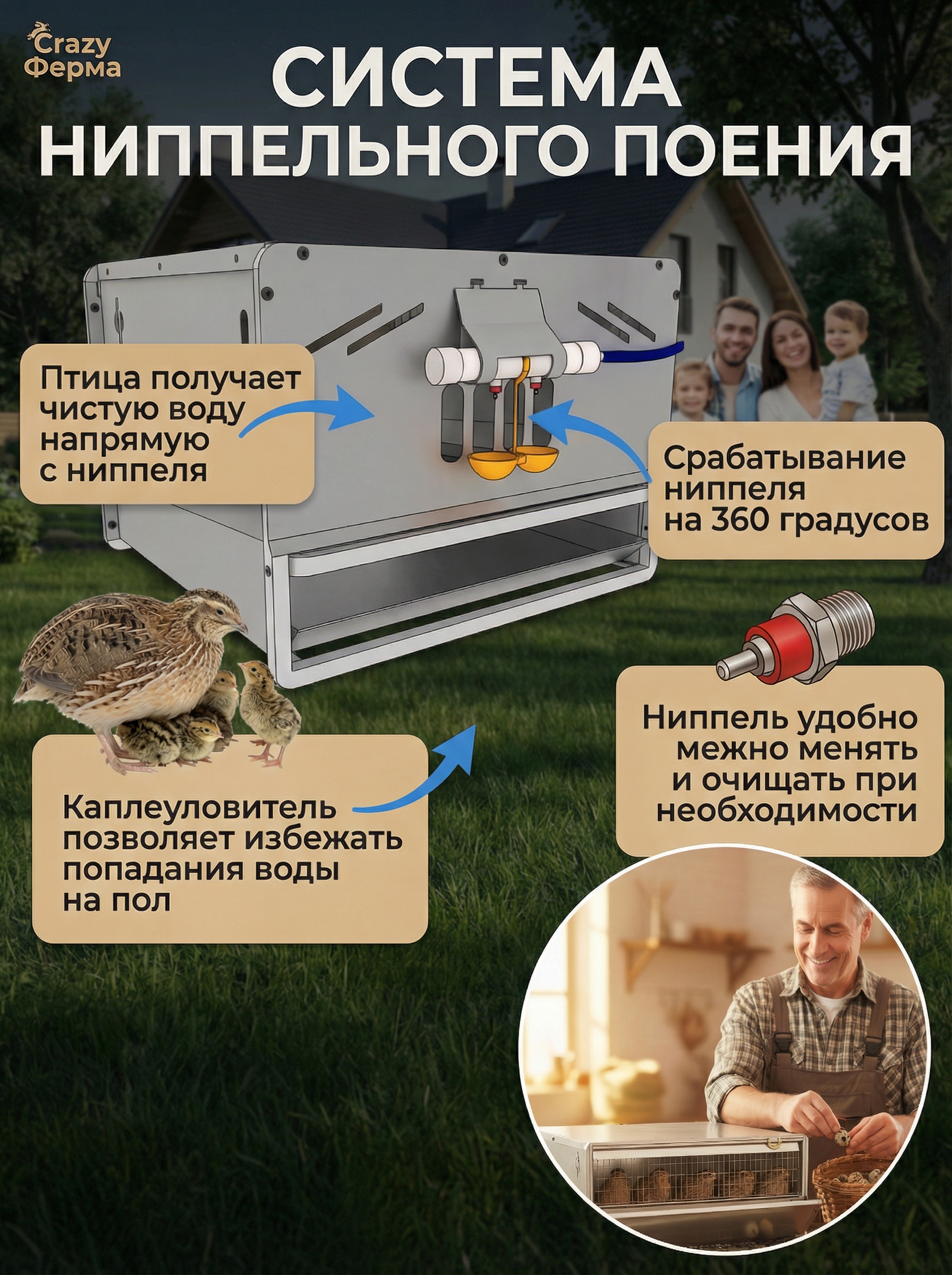 Рамная клетка для перепелов на 30 голов. Фото 4