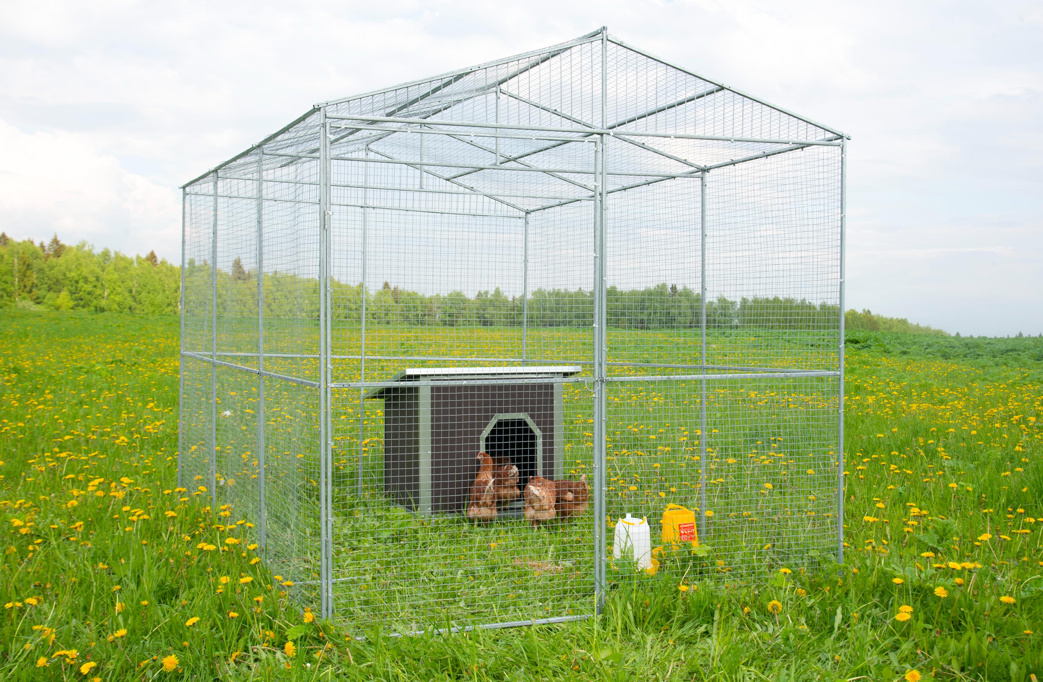 Выгул "Разгуляй" из сетки 2-6-С. Фото 8