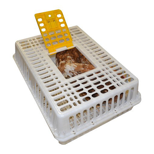 Переноска для кур и цыплят пластиковая. Фото 1