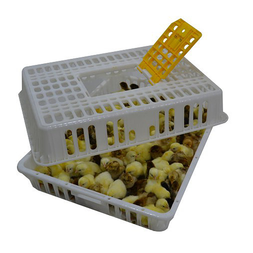 Переноска для кур и цыплят пластиковая. Фото 3