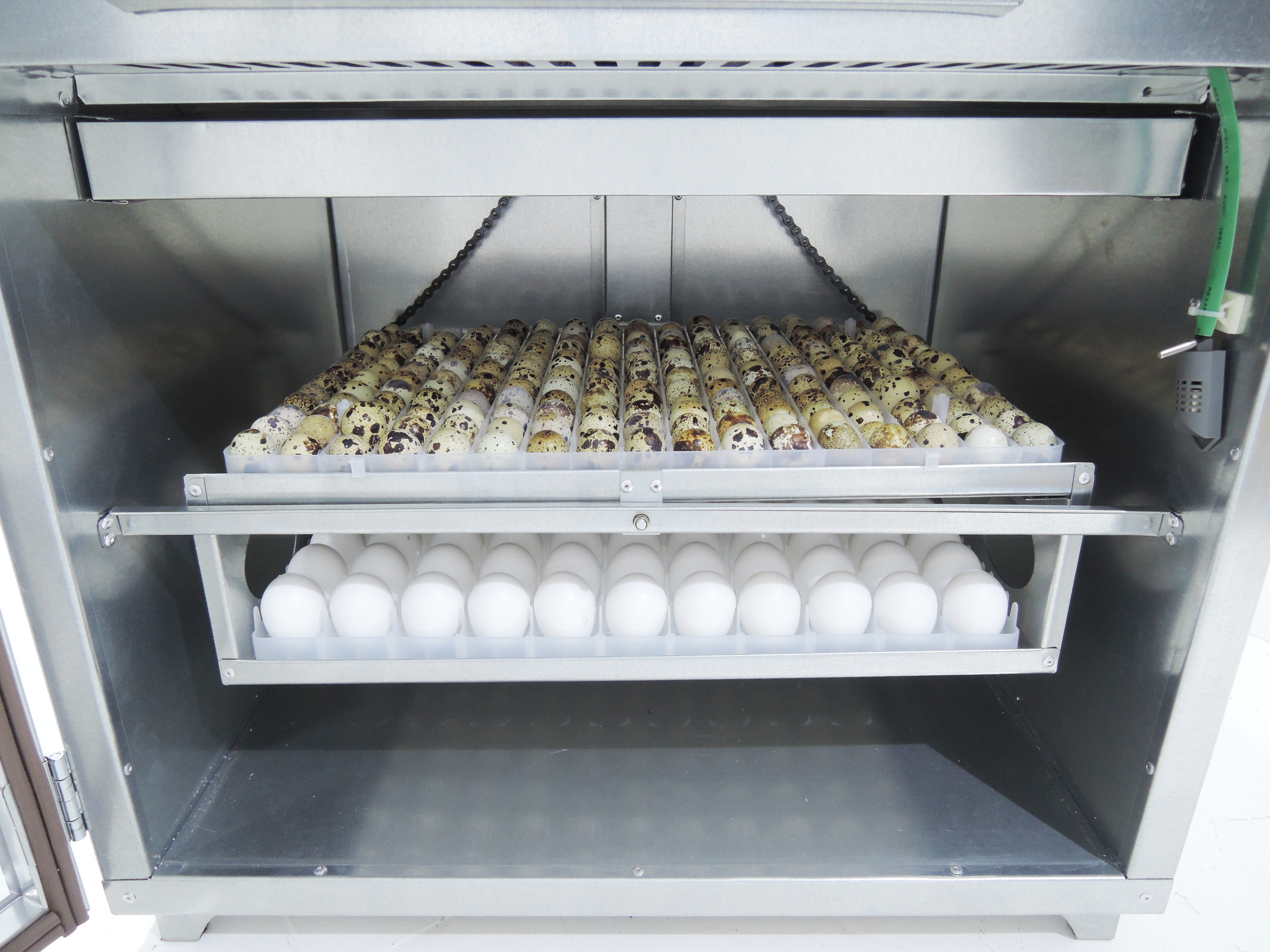 Инкубатор Гарант -176  "Премиум". Фото 2