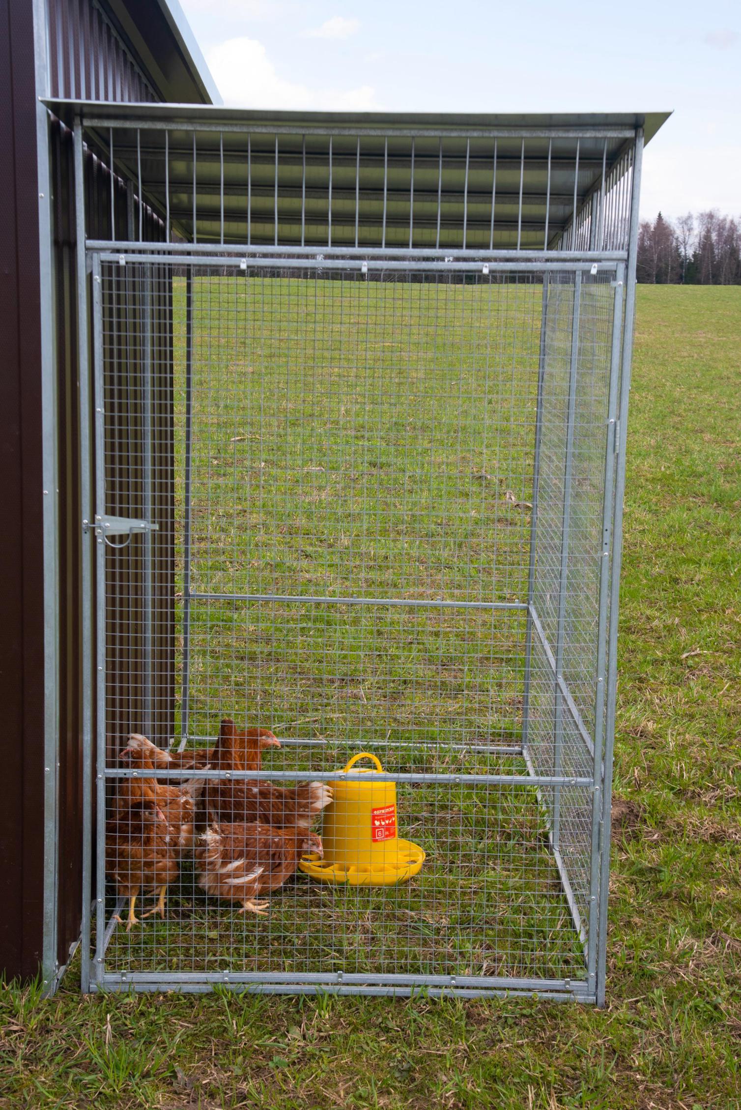 Выгул "Разгуляй" с крышей 1-2-К. Фото 6