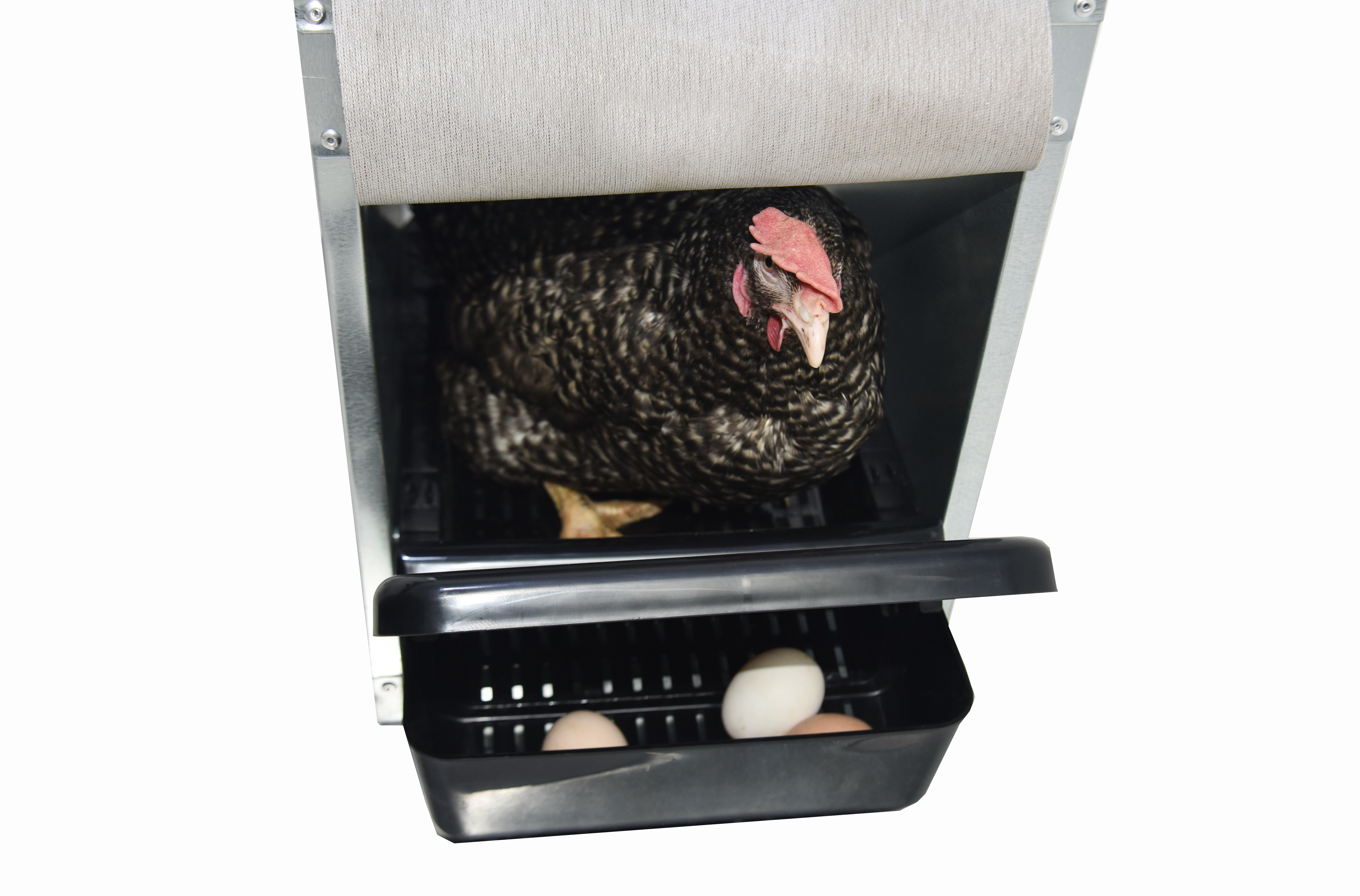 Гнездо для кур-несушек "Компакт" 4-1. Фото 11