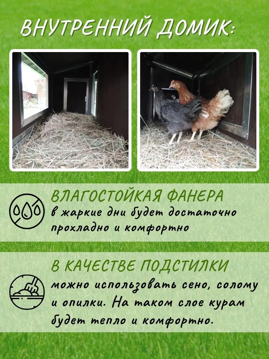 Утепленный отапливаемый уличный курятник с выгулом и гнездом "Зимняя Мечта" на 8-10 кур. Фото 4