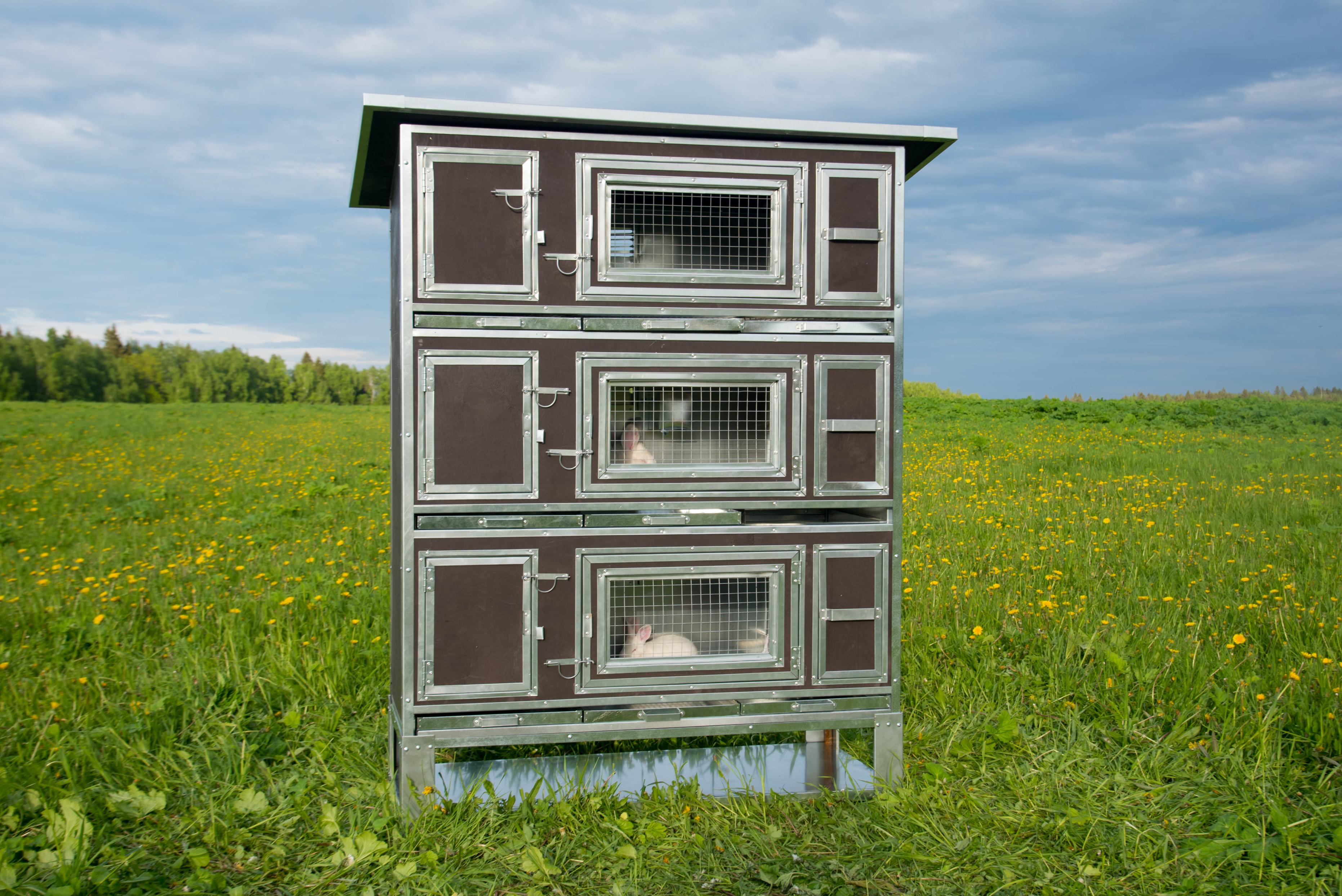 Утепленный отапливаемый крольчатник "Бестселлер" М-13. Фото 9