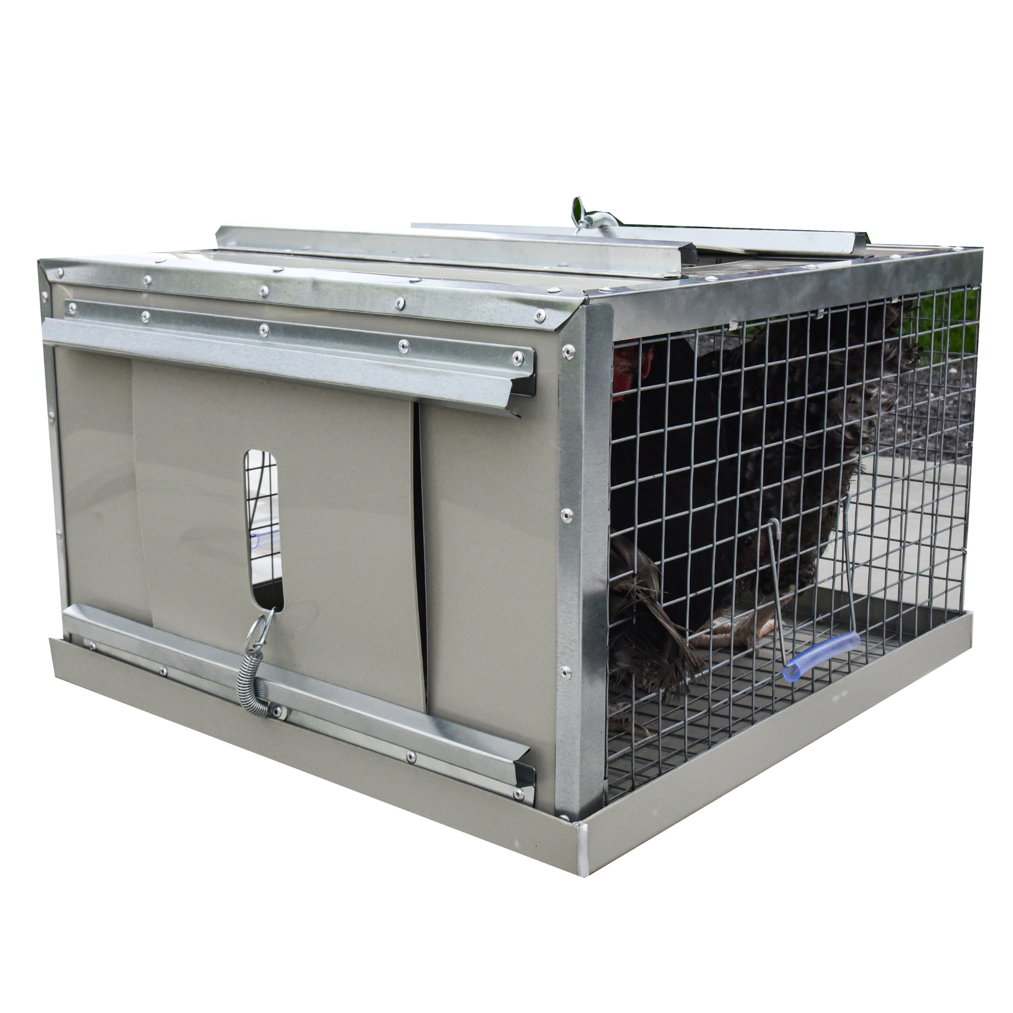 Клетка-переноска для птицы с 2 дверцами. Фото 7