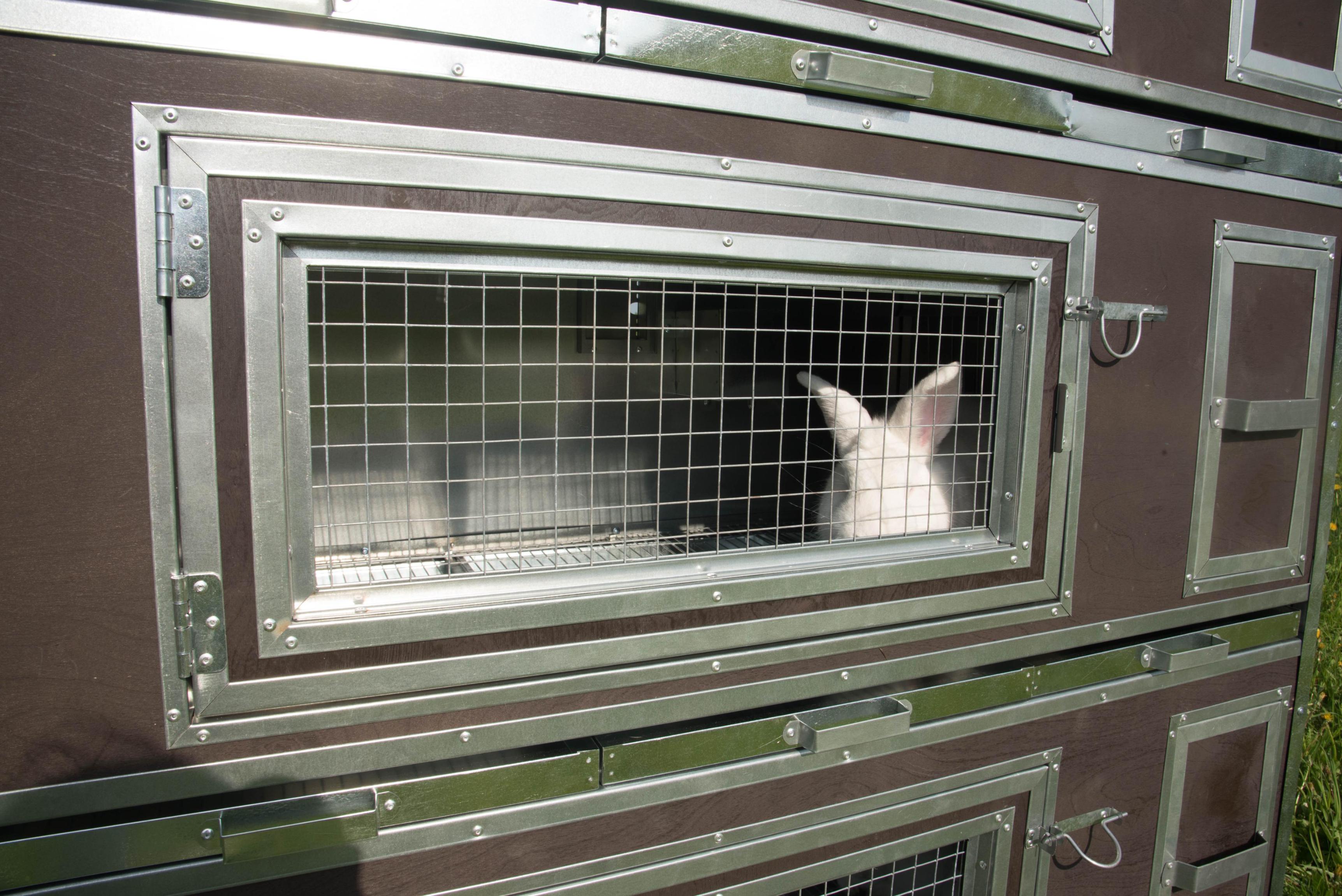 Утепленный отапливаемый крольчатник "Бестселлер" О-12. Фото 14