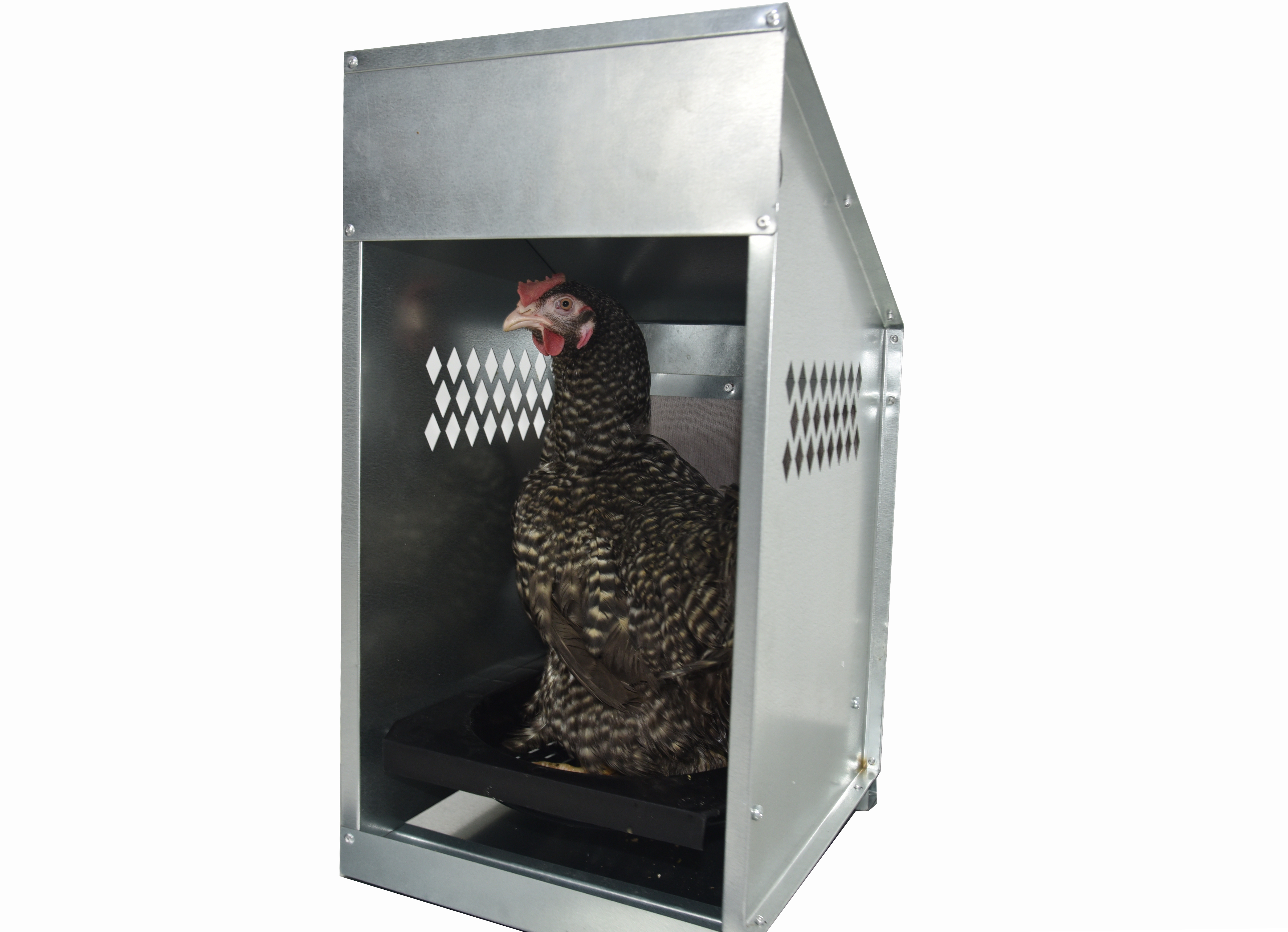 Гнездо для кур-несушек "Компакт" 4-1. Фото 12