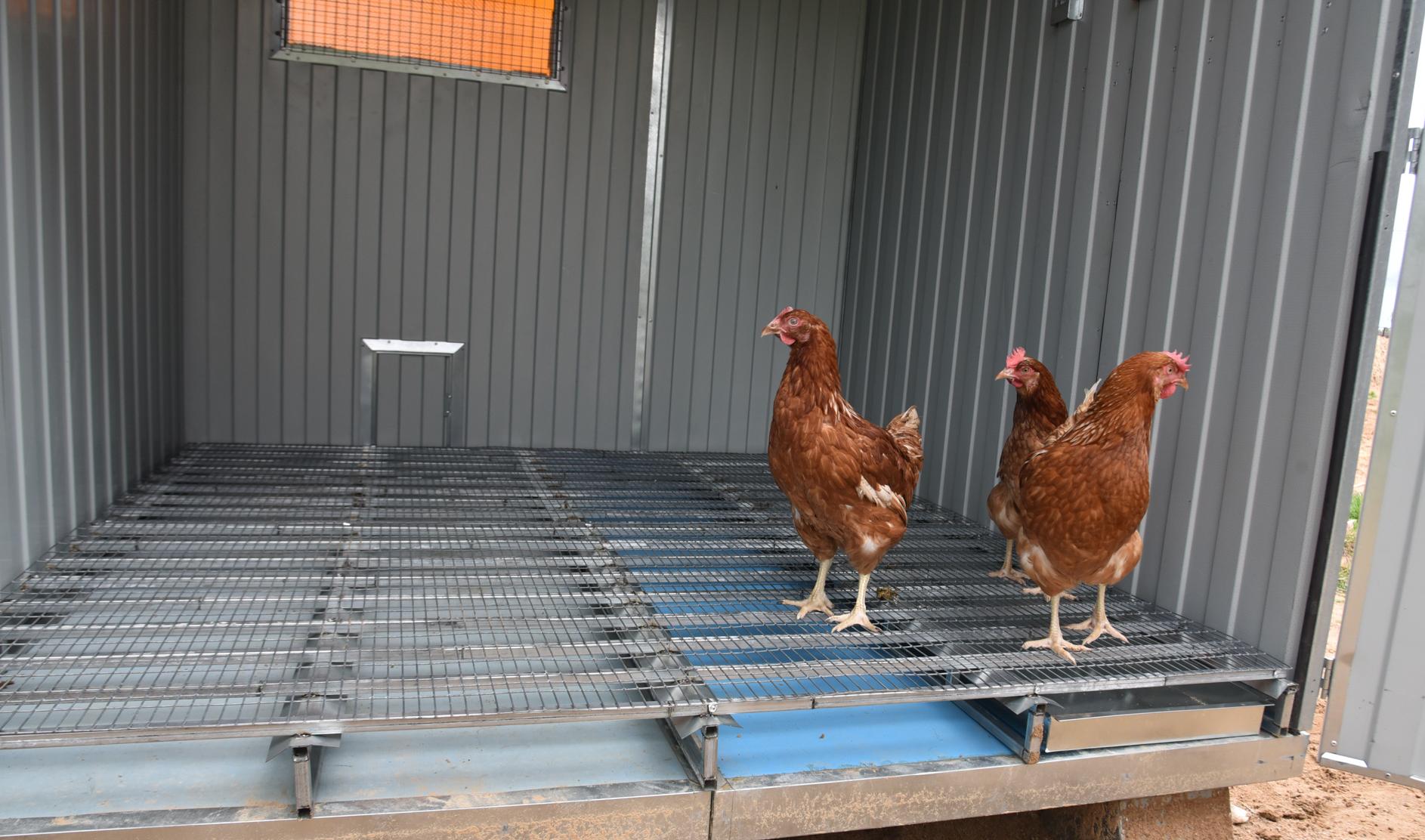  Настил металлический усиленный для птичника. Фото 9