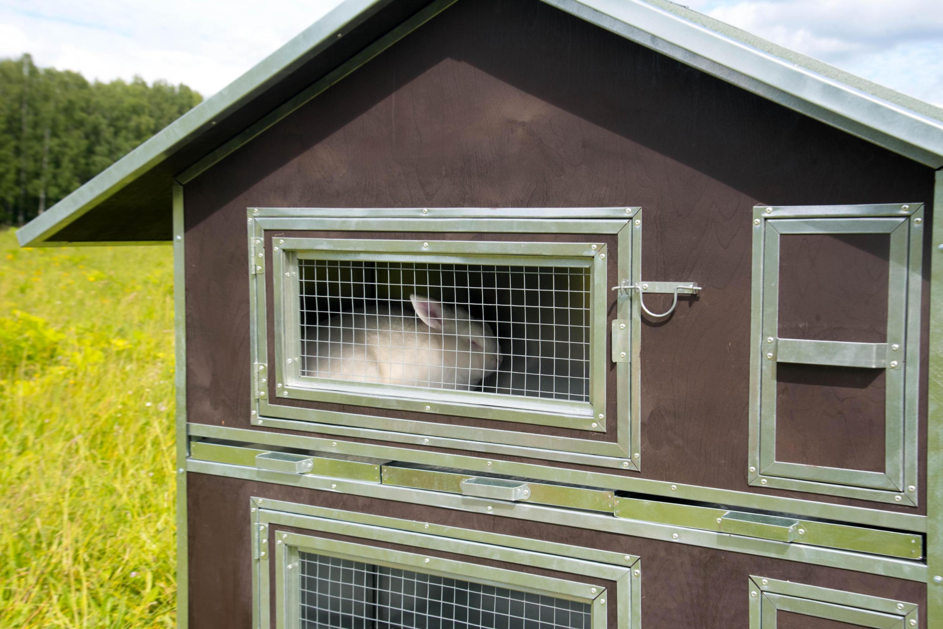 Утепленный отапливаемый крольчатник "Бестселлер" О-22. Фото 3