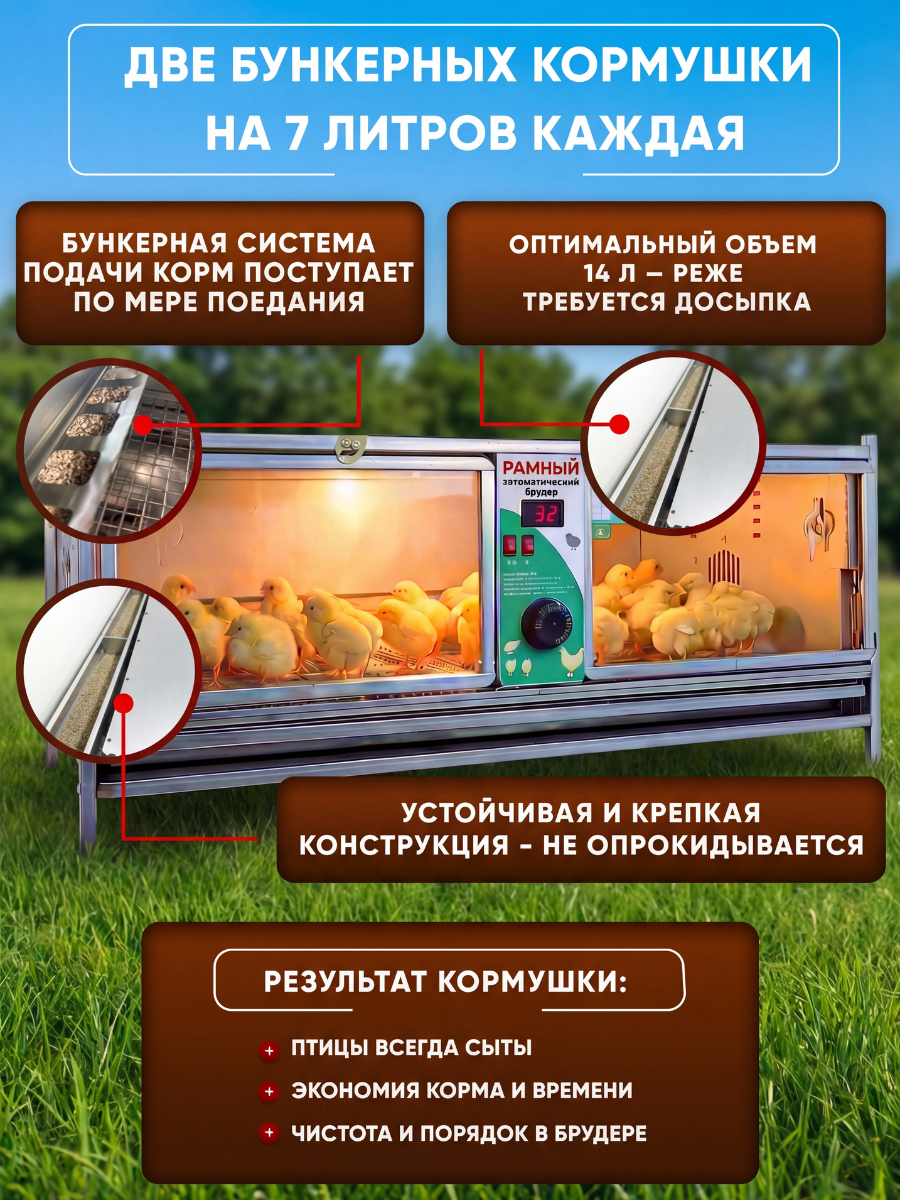 Рамный автоматический брудер 0712 Стандарт. Фото 8 Рамный автоматический брудер 0712 Стандарт. Фото 8