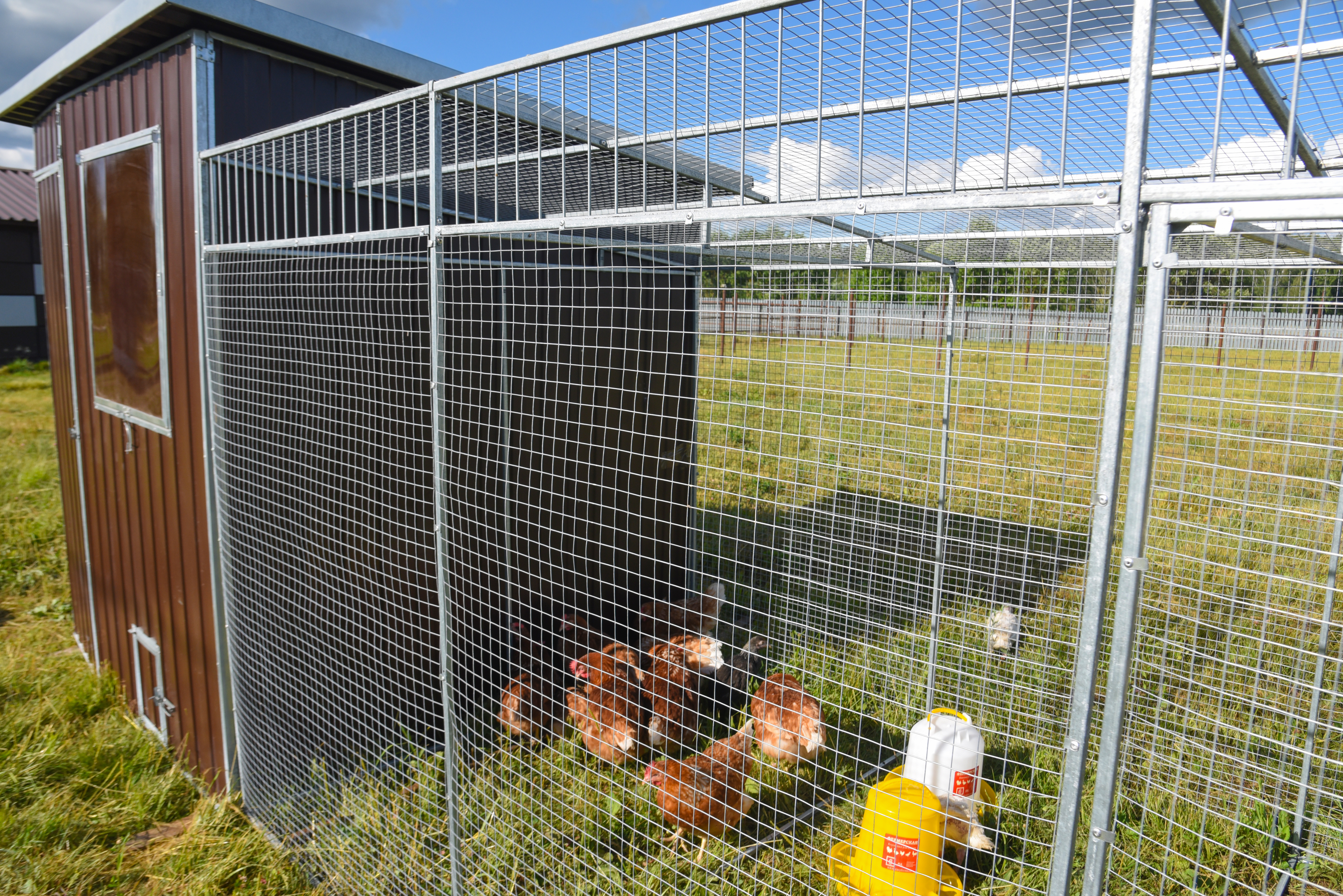 Выгул "Разгуляй" приставной из сетки 1-1-СП. Фото 4