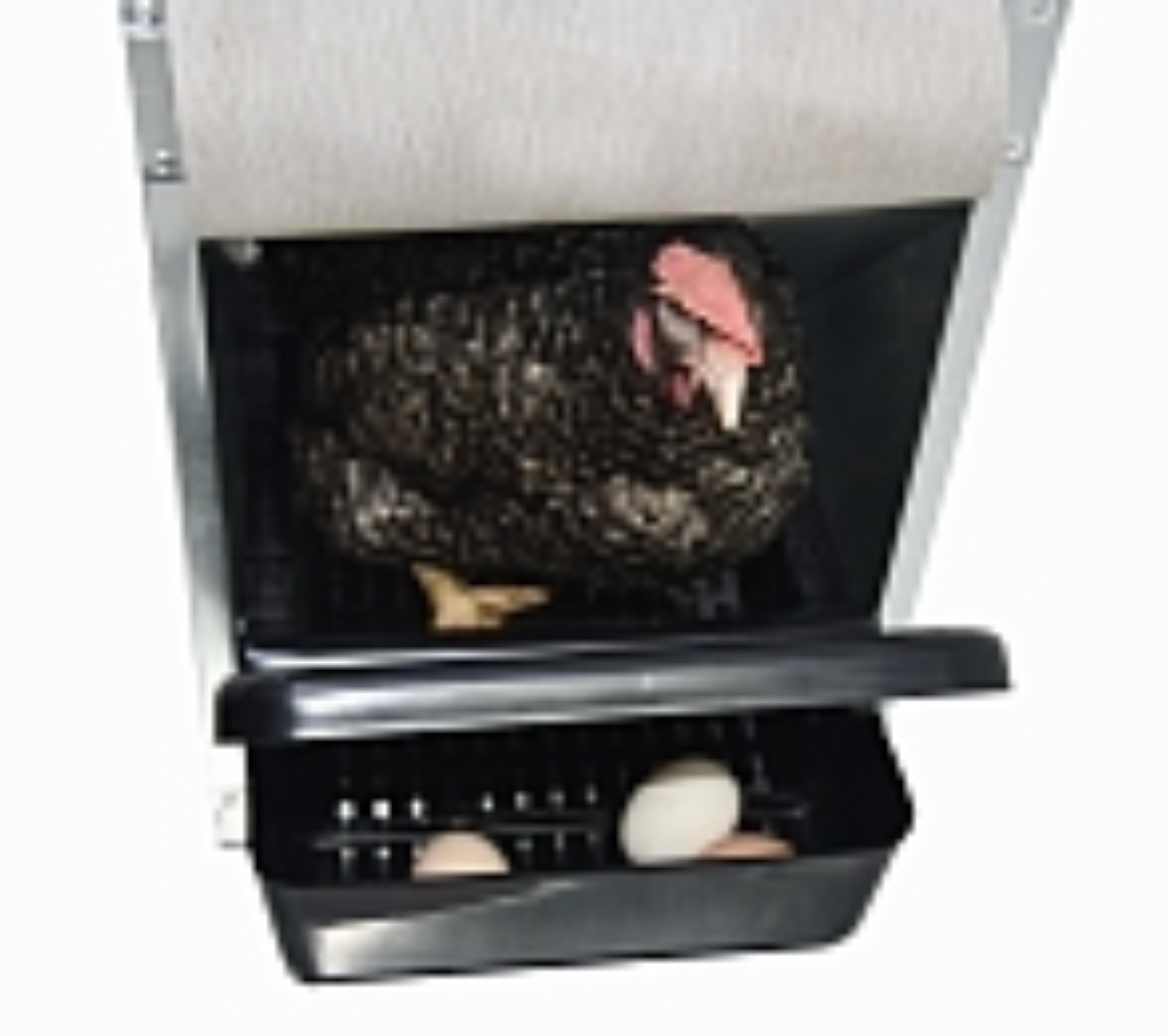 Гнездо для кур-несушек "Компакт" 2-1. Фото 9