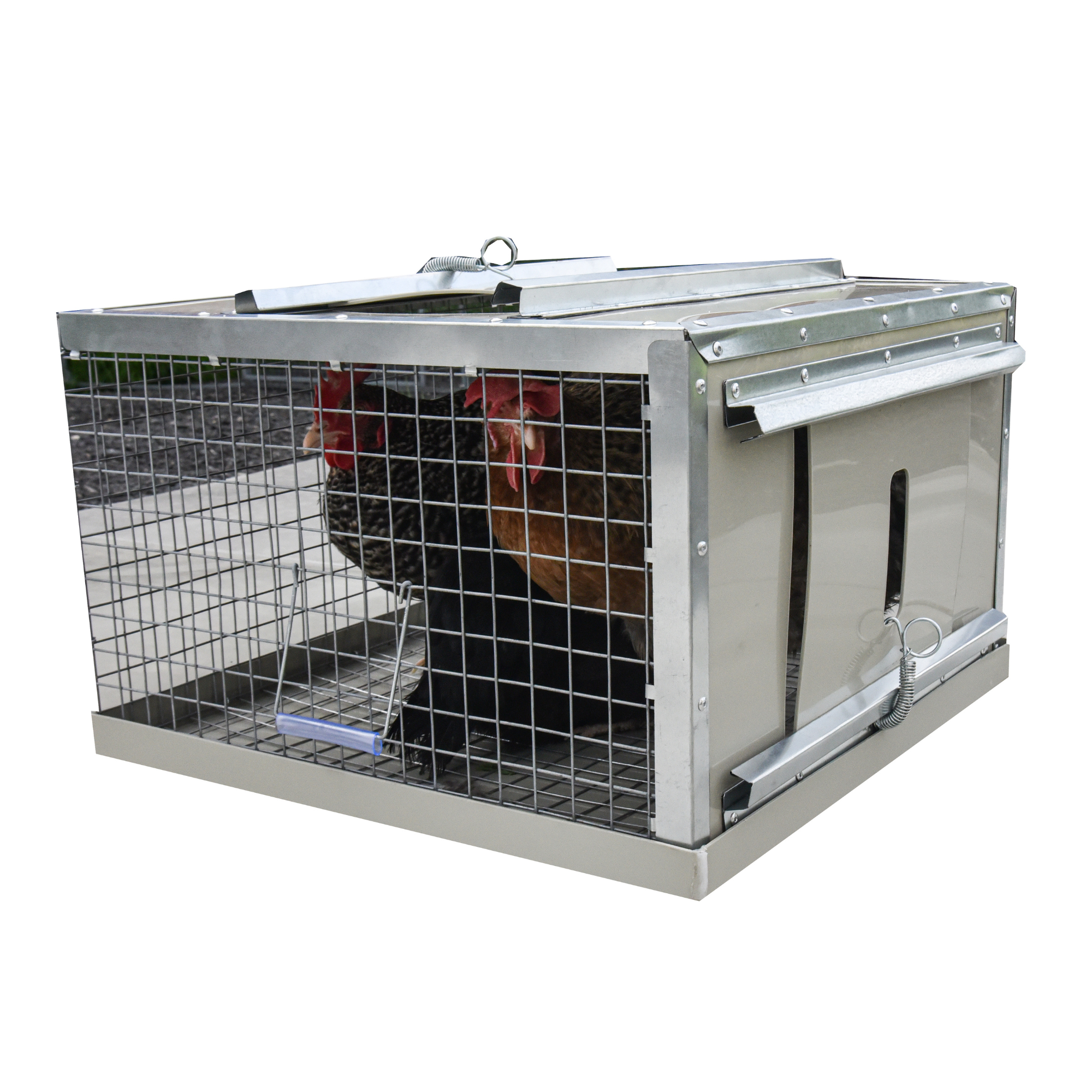 Клетка-переноска для птицы с 2 дверцами. Фото 23