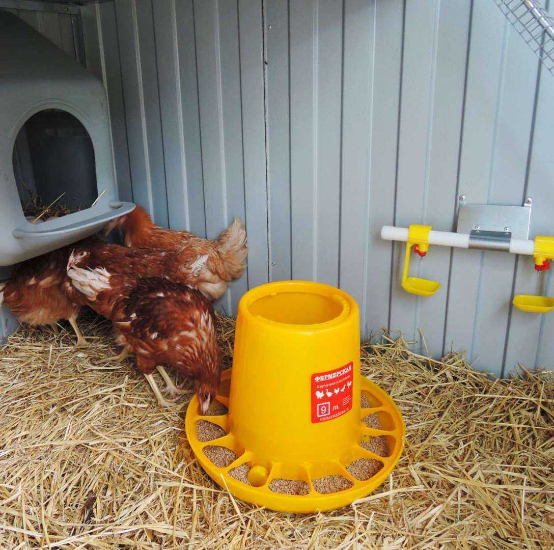 Утепленный курятник с обогревом на 45 голов "Теплоисухо" КН. Фото 10