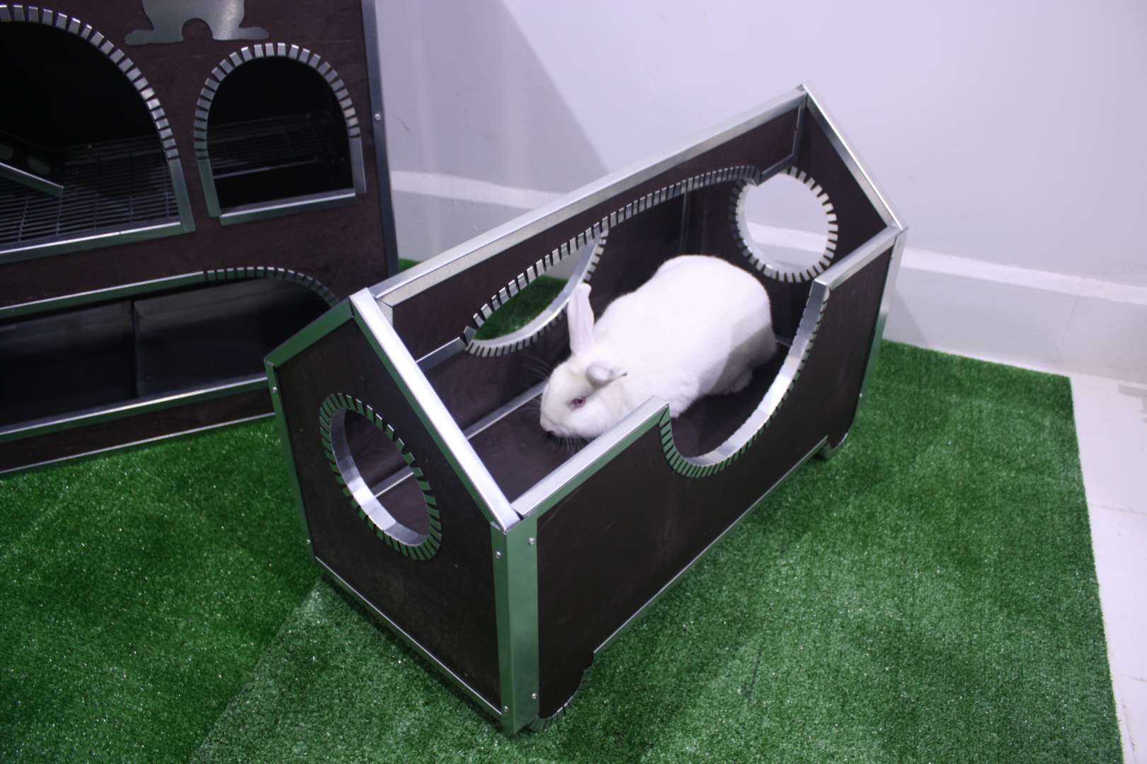 Лазелка для декоративных кроликов "Вольер". Фото 1