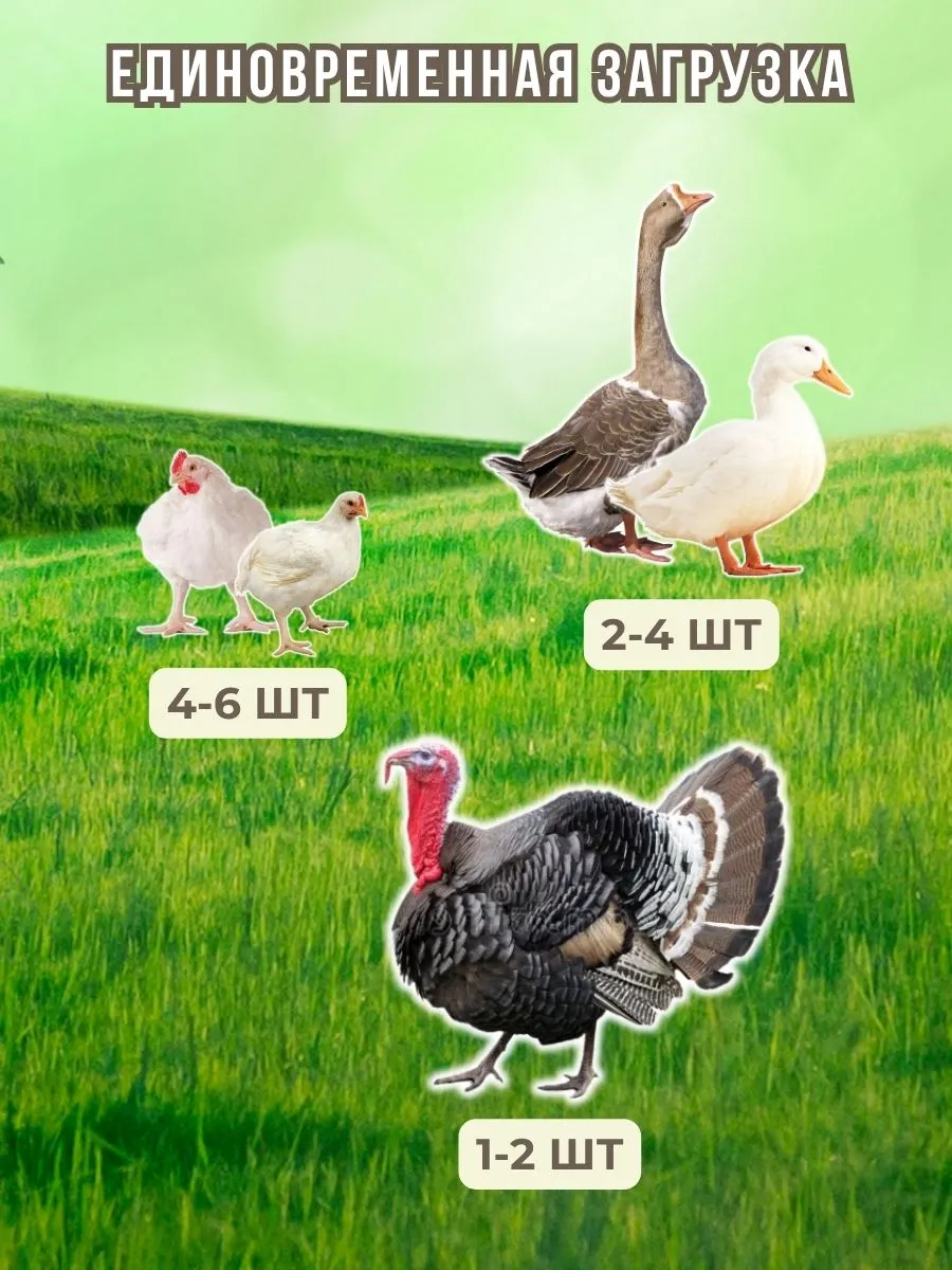 Шпарчан "Автоградус-8000 Бульбар". Фото 8