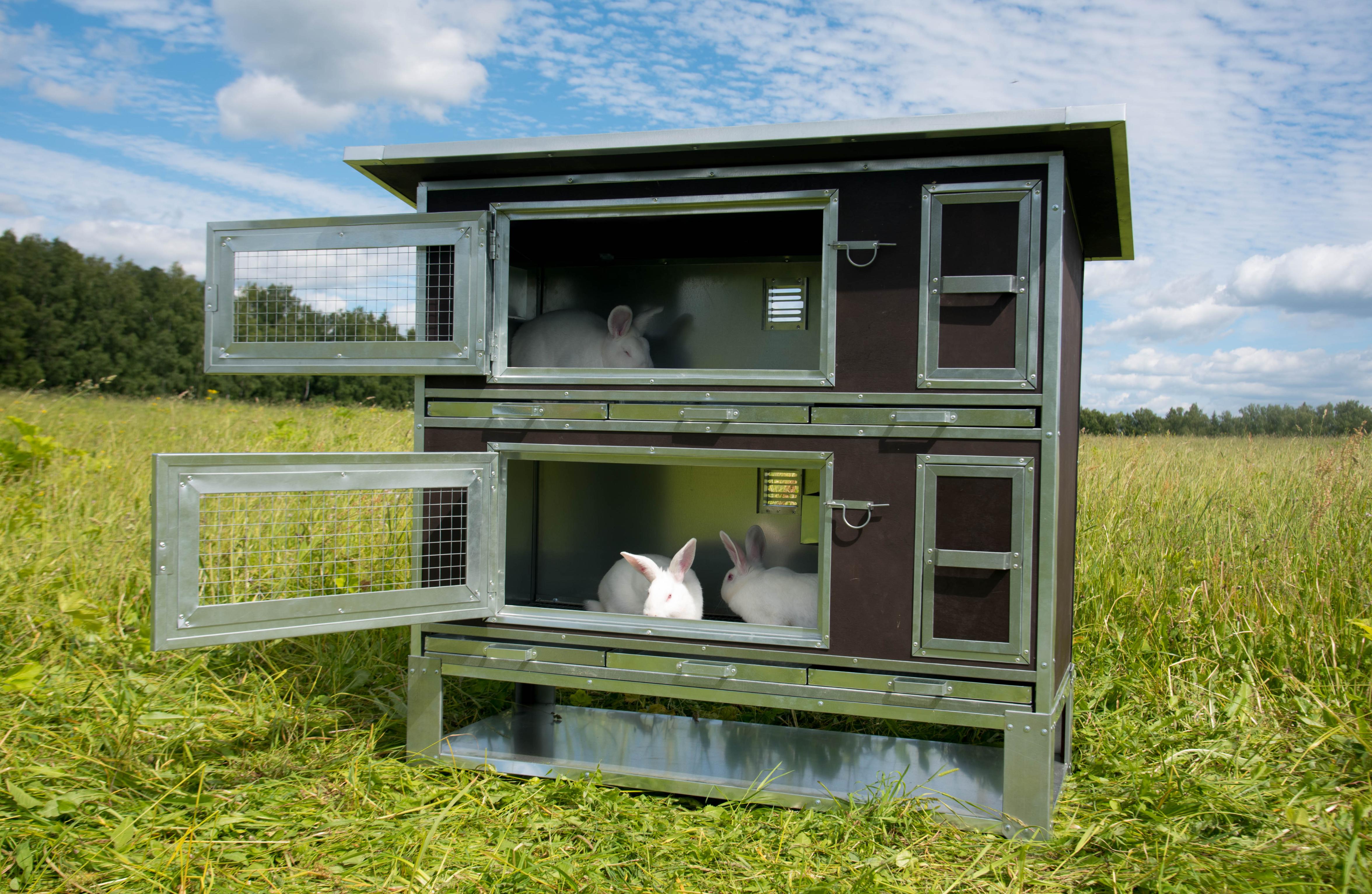 Утепленный отапливаемый крольчатник "Бестселлер" О-12. Фото 12