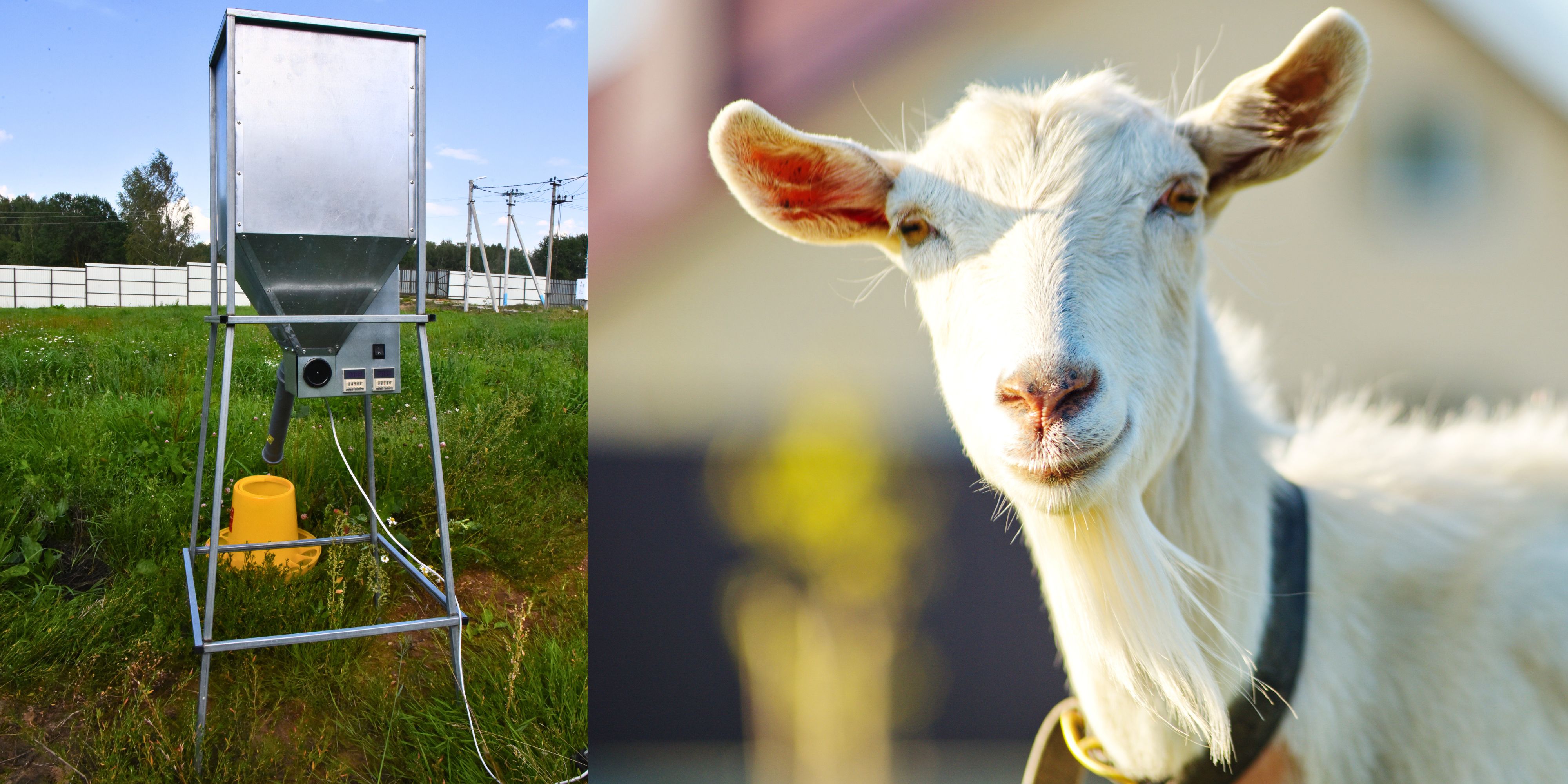 Бункер кормовой автоматический "Дозатор 45". Фото 20