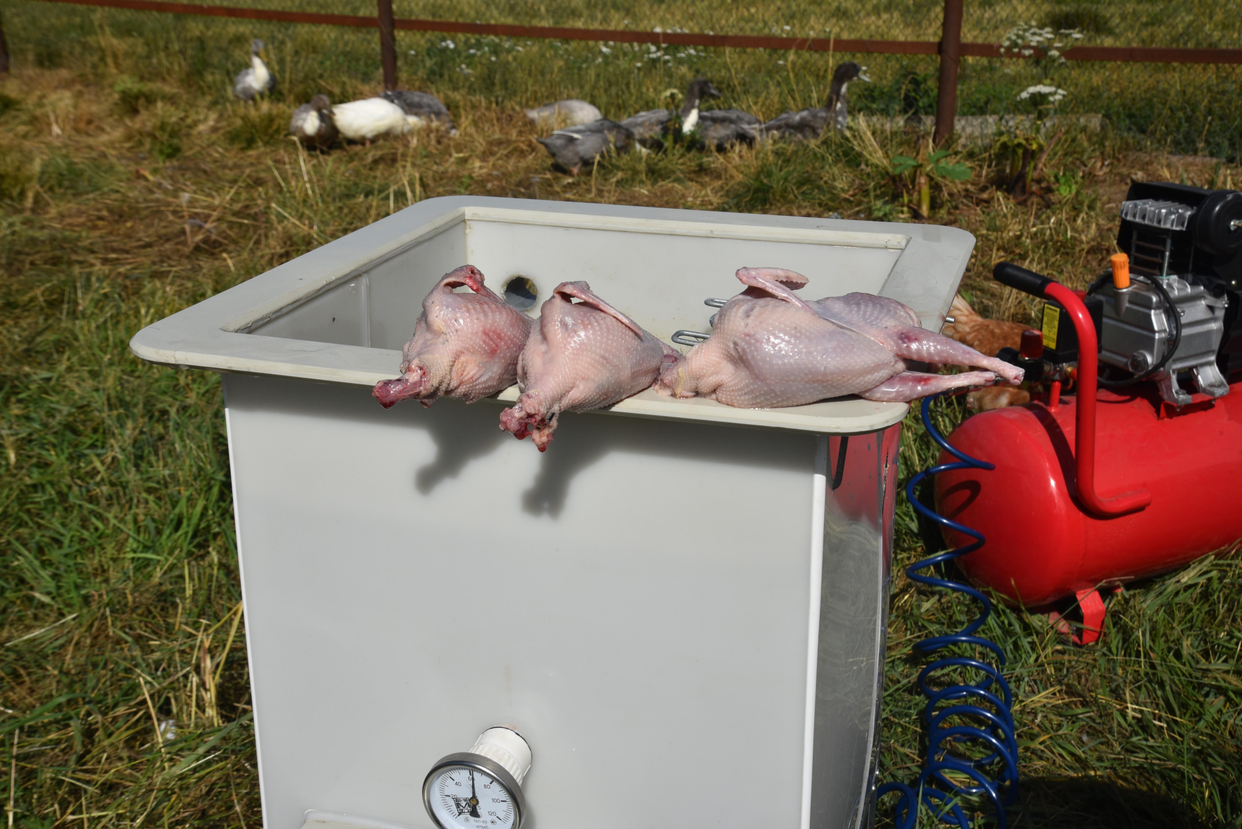 Шпарчан "Автоградус-4000". Фото 24