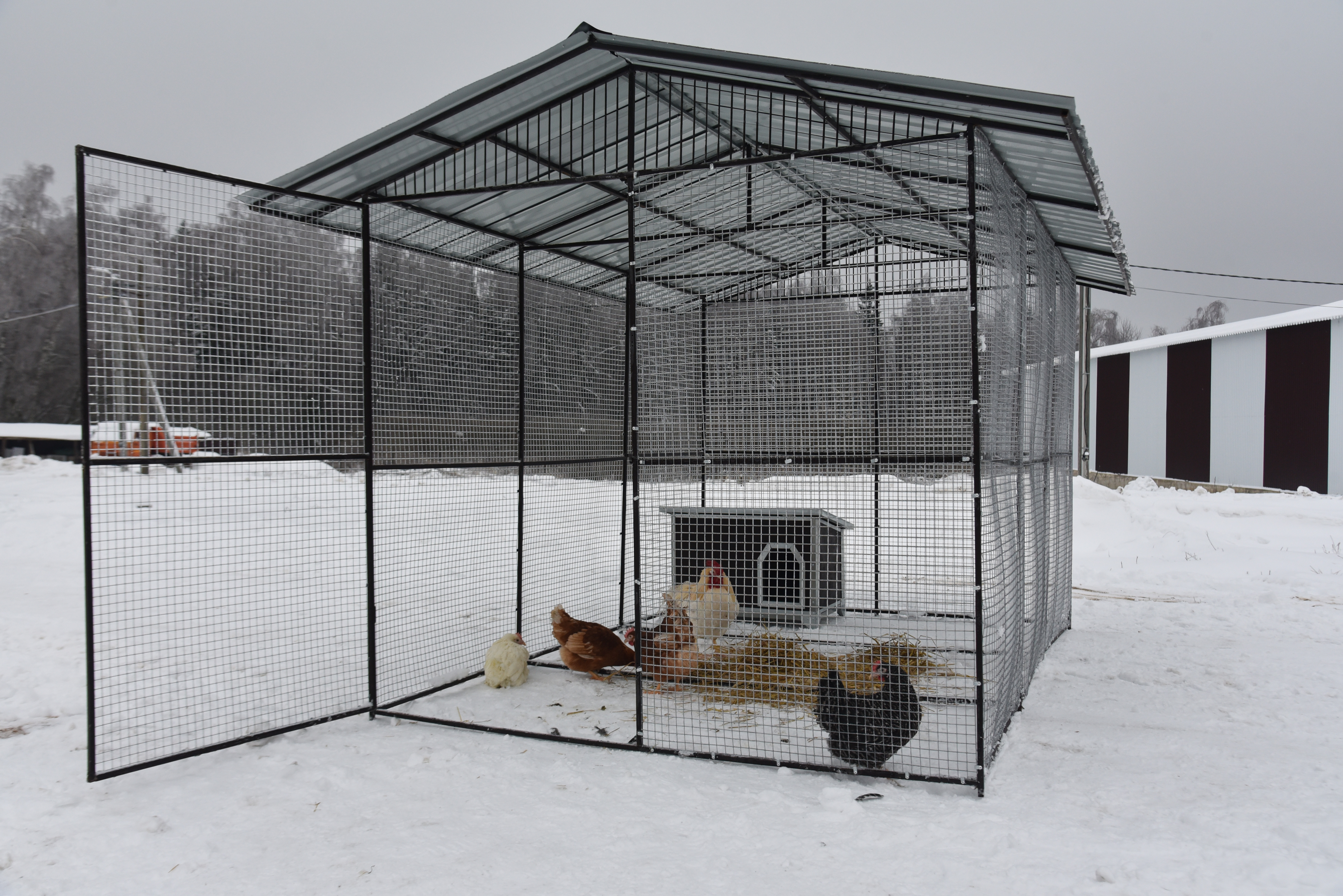 Выгул "Разгуляй" с крышей 2-4-К. Фото 12