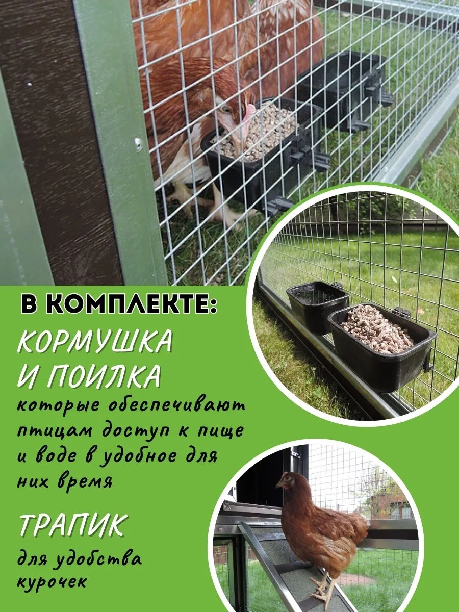 Утепленный отапливаемый уличный курятник с выгулом и гнездом "Зимняя Мечта" на 8-10 кур. Фото 5